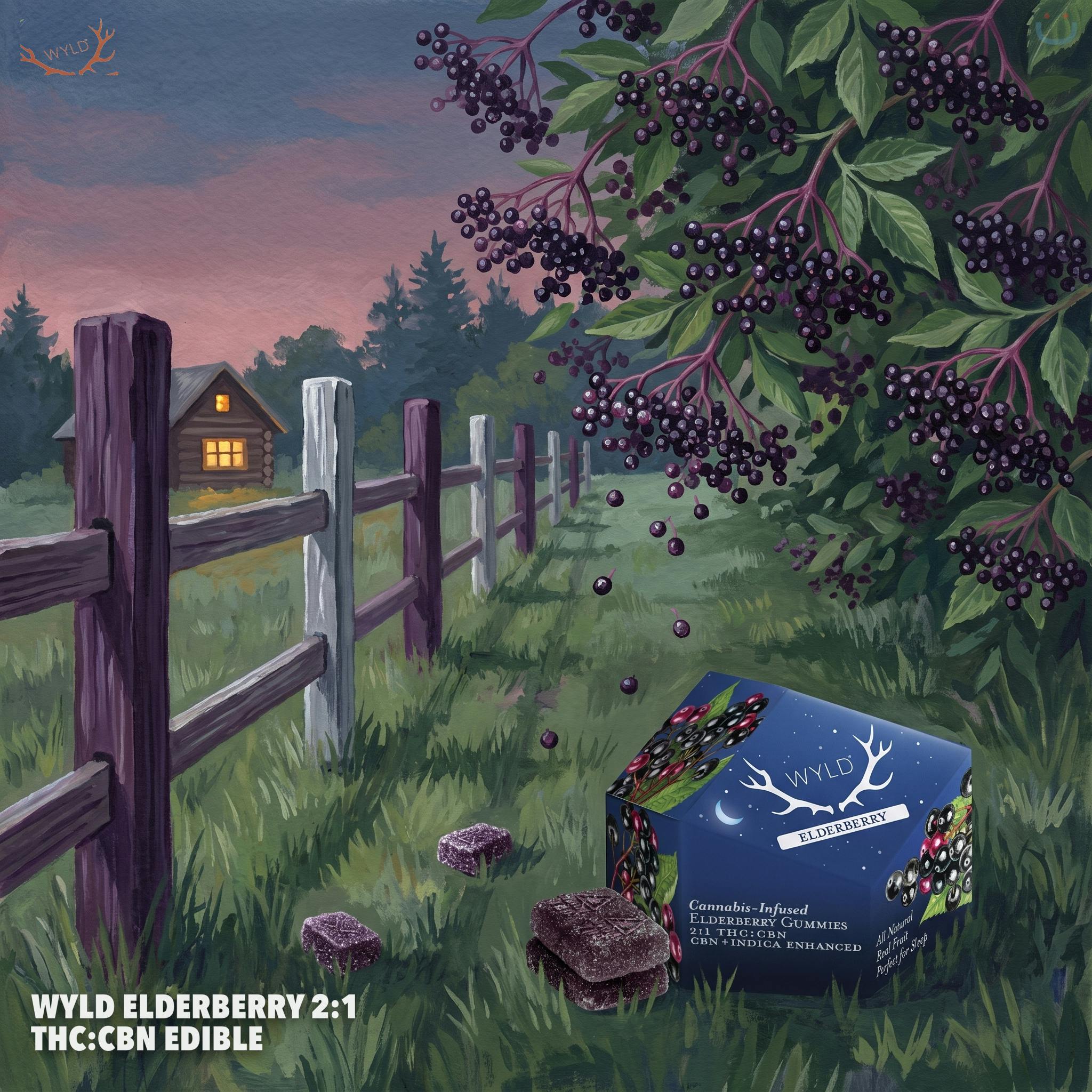 WYLD Elderberry 2:1 THC:CBN Edible