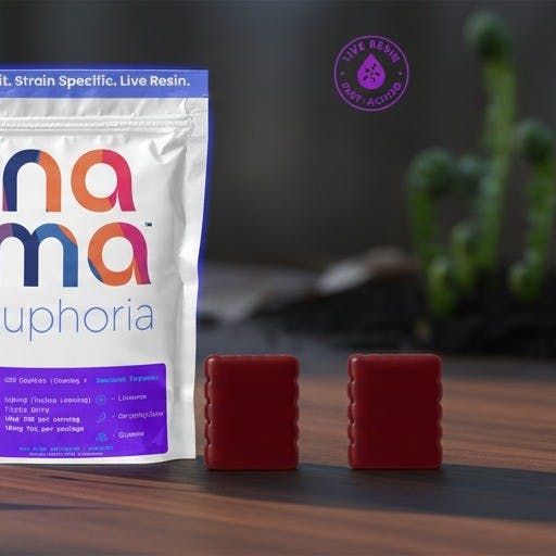 Nama Euphoria GMO Cookies Edible