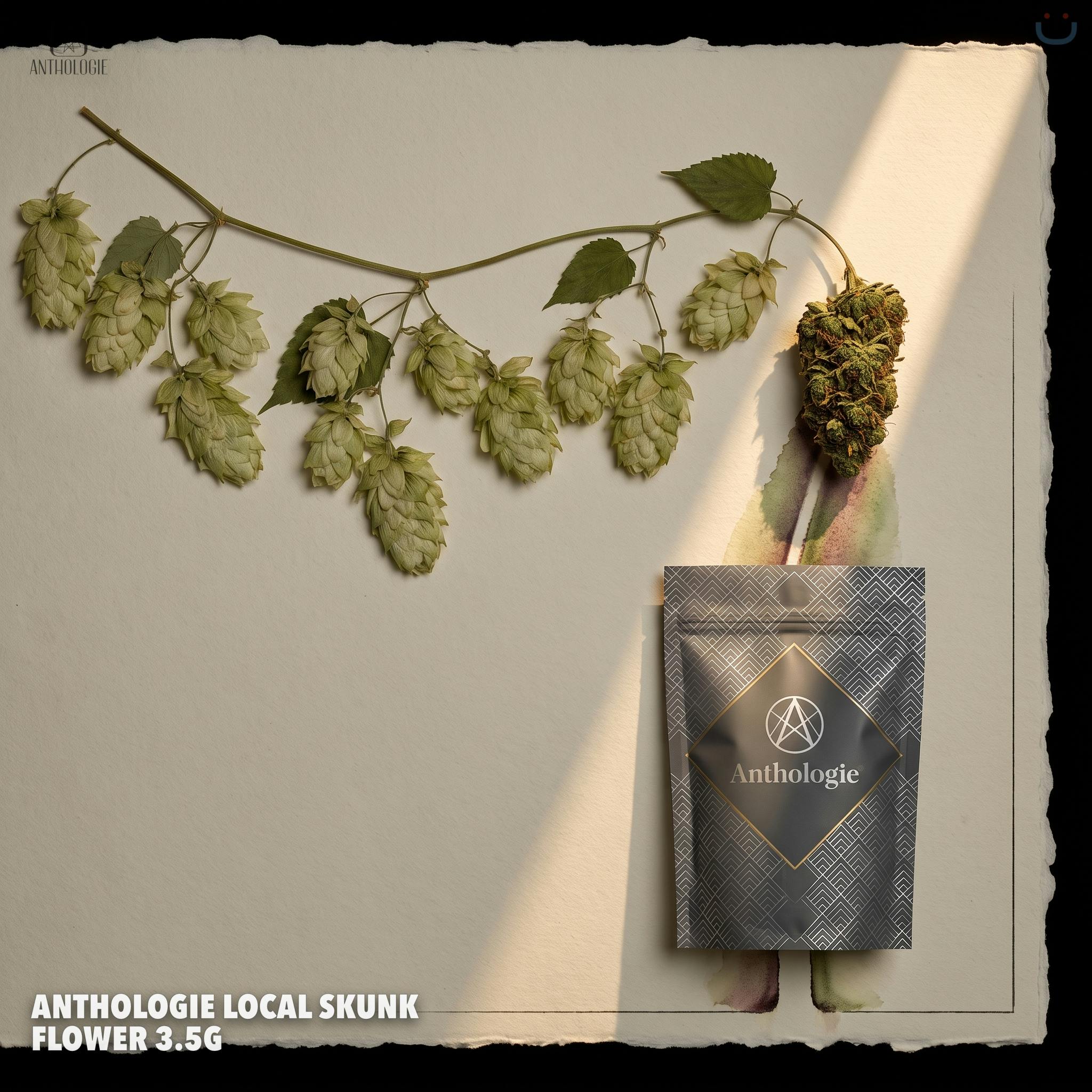 Anthologie Local Skunk Flower 3.5G