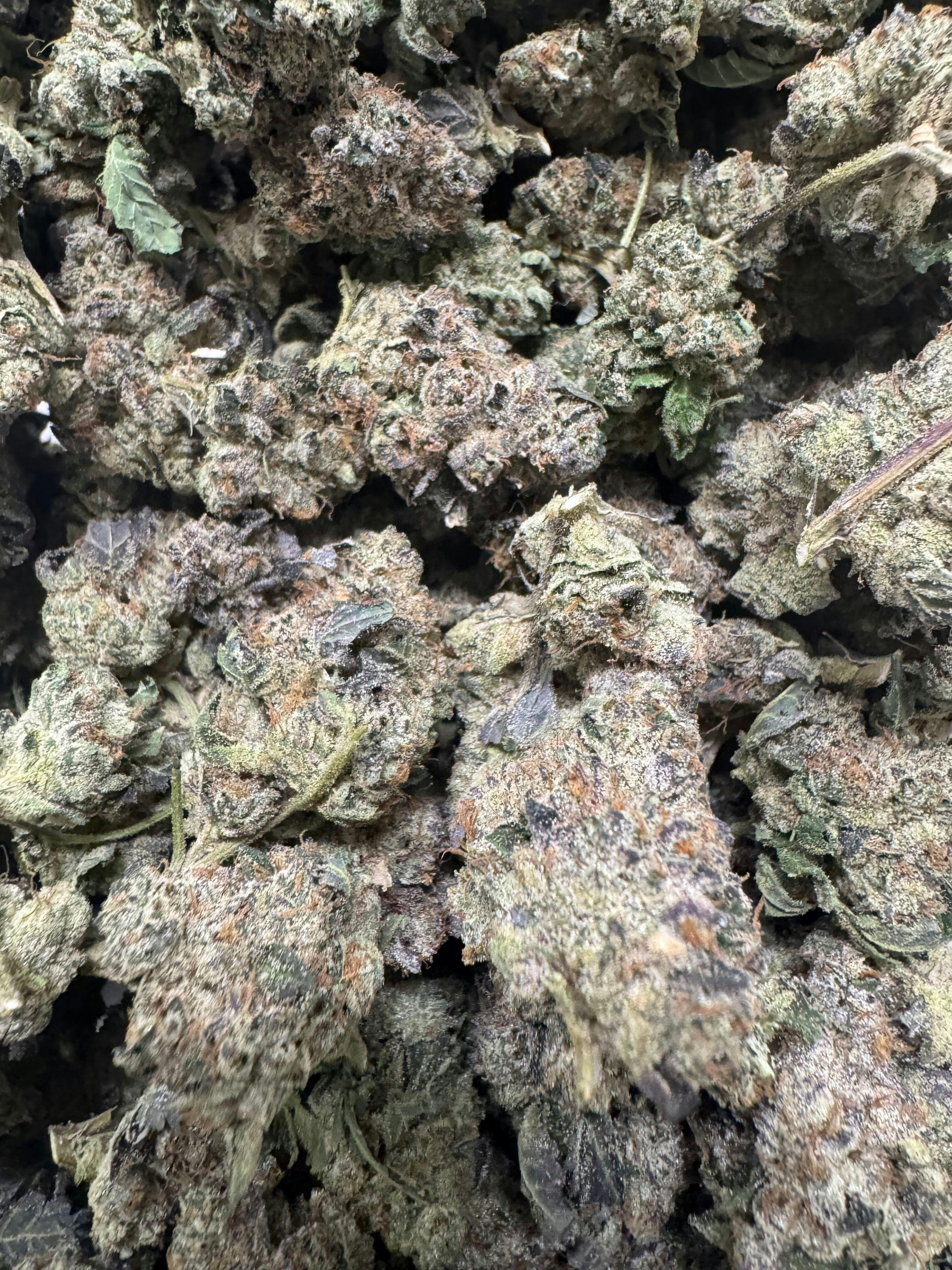 Parks Grove Blue Cookies Flower 3.5G