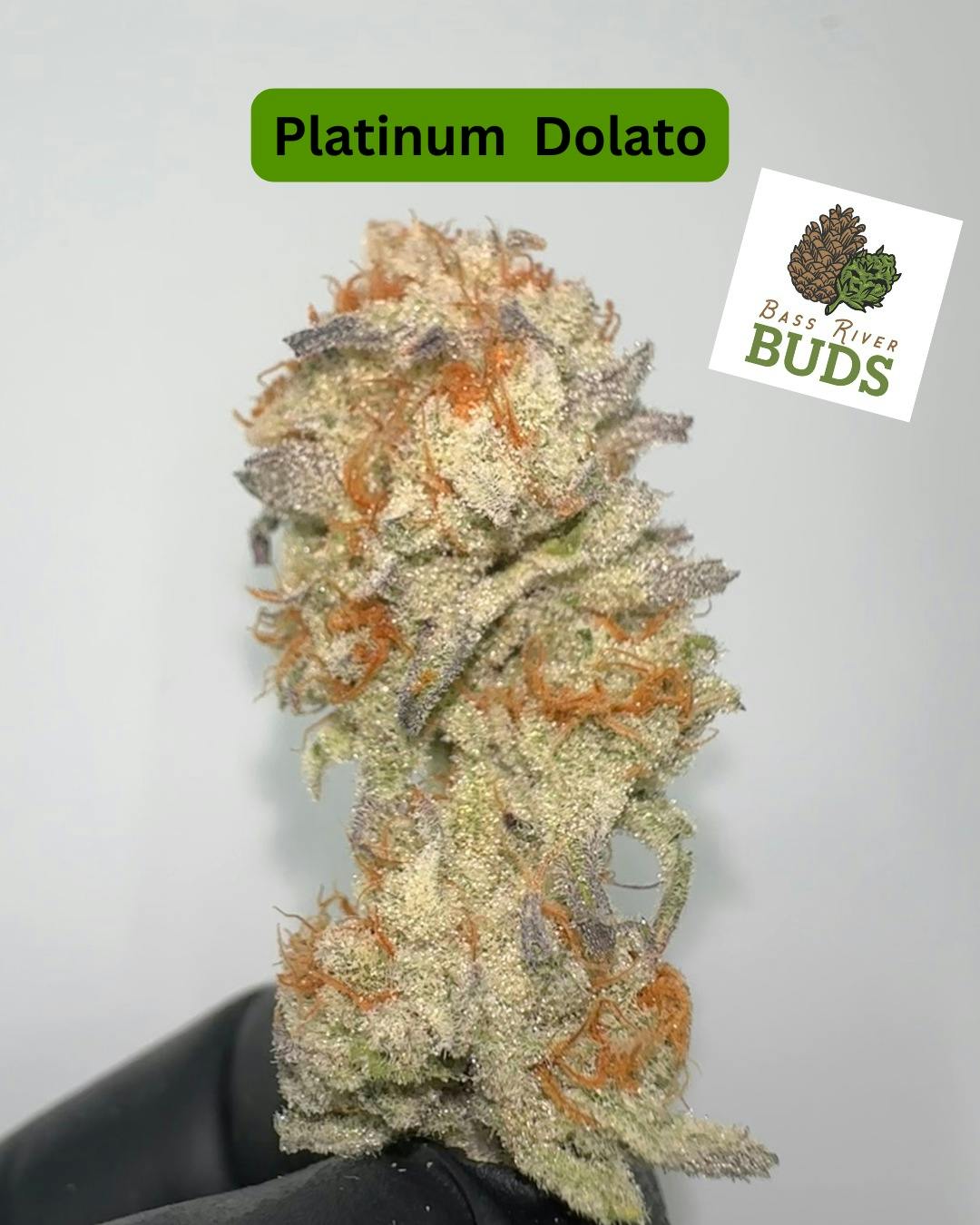 Bass River Buds Platinum Dolato Flower 3.5G