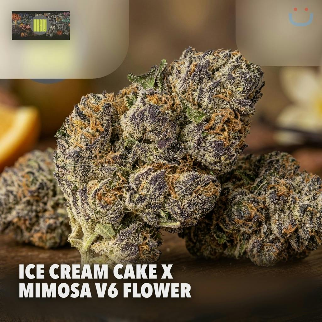 URBNJ Ice Cream Cake X Mimosa V6 Flower 28G