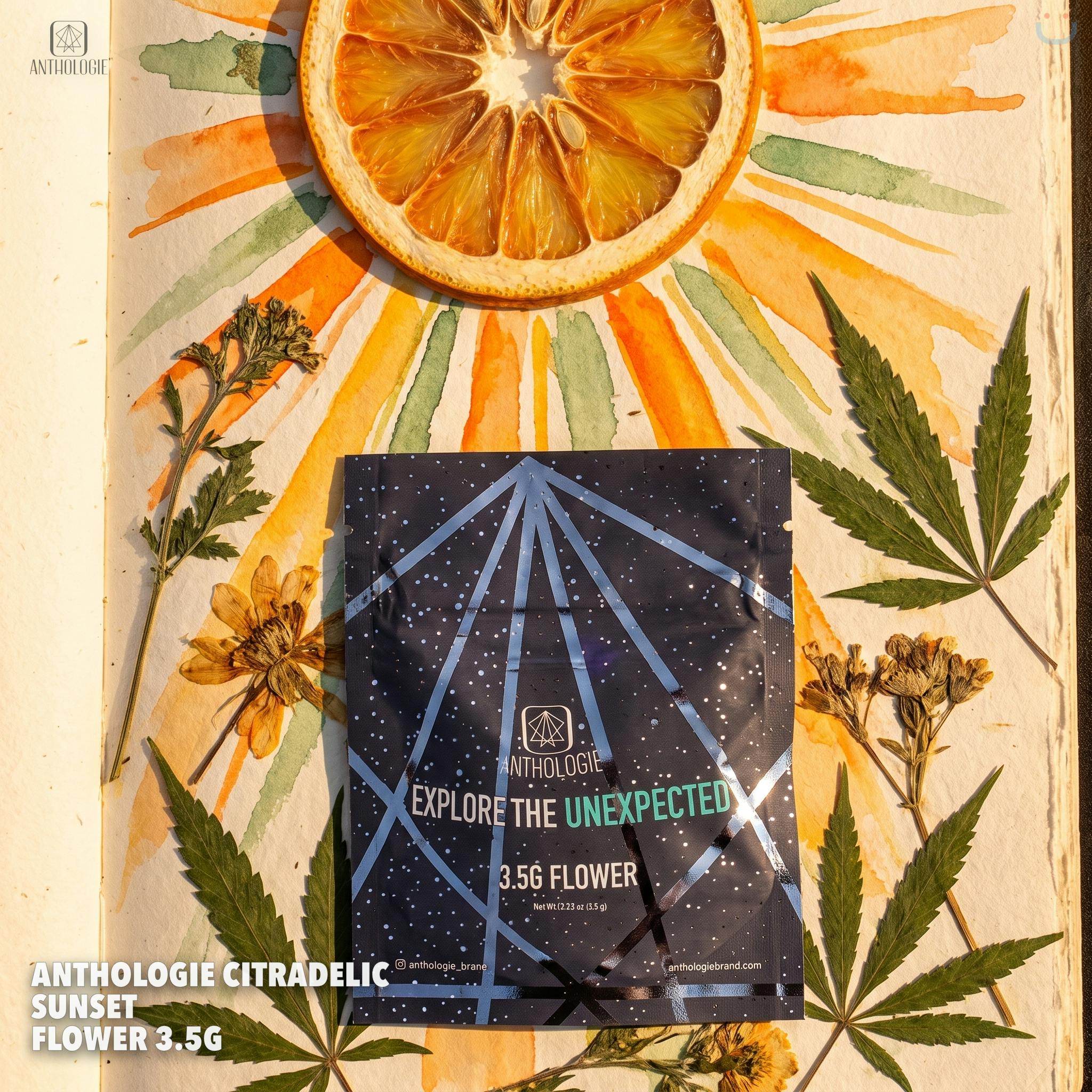 Anthologie Citradelic Sunset Flower 3.5g