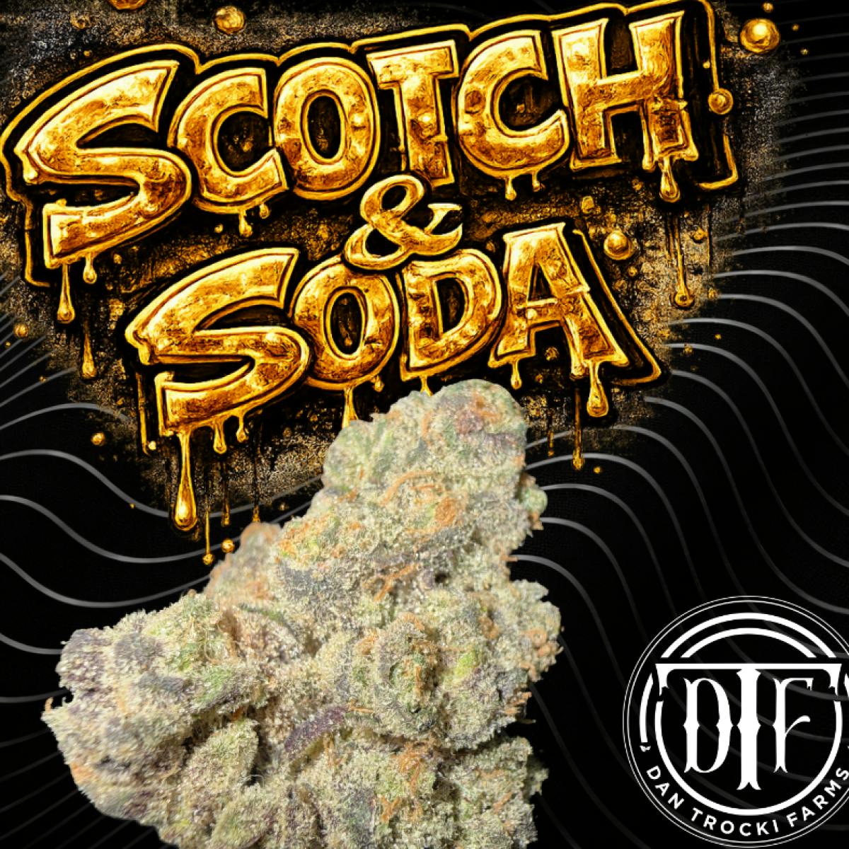 Dan Trocki Farms Scotch & Soda Flower 3.5G
