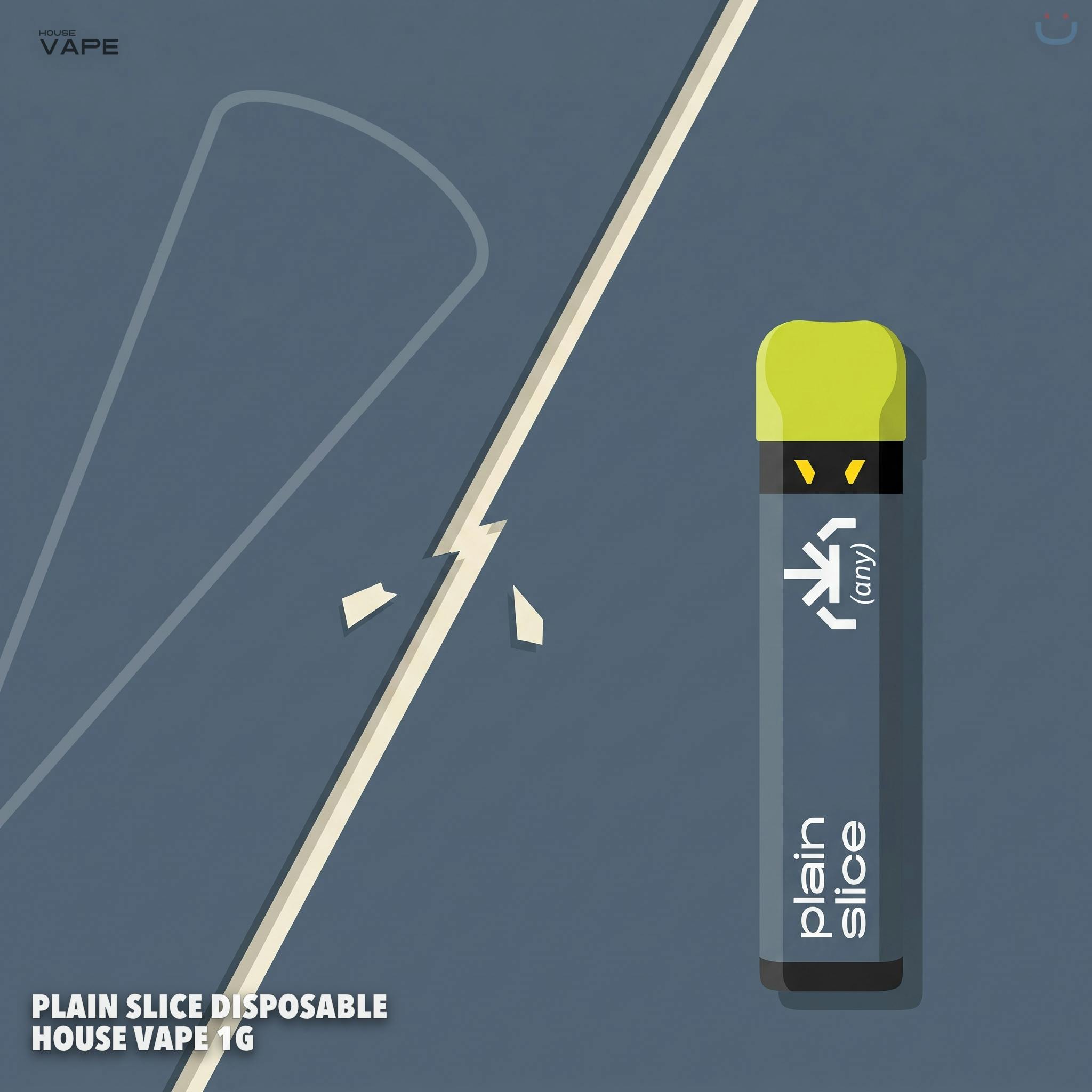 Plain Slice Disposable House Vape 1G