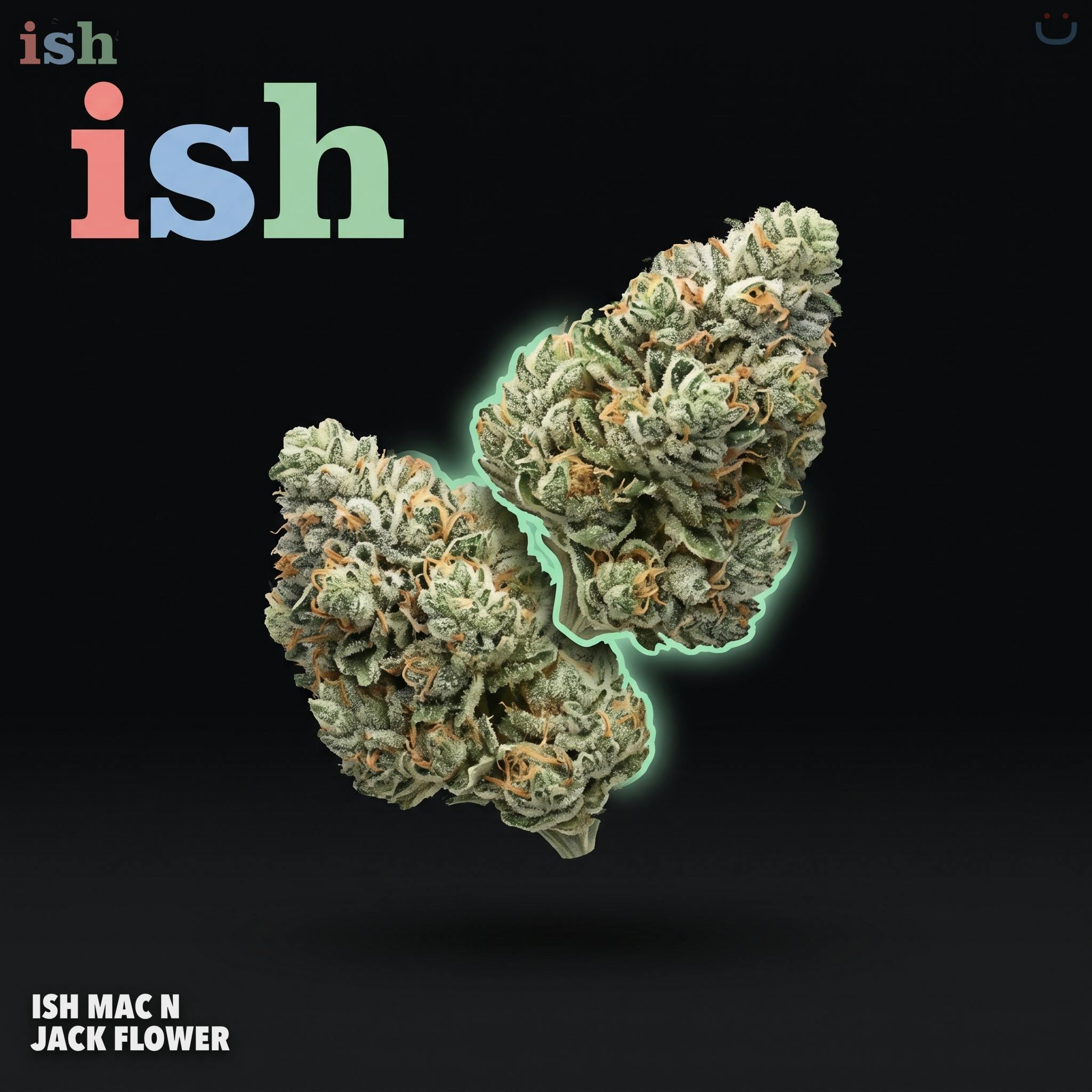 ISH Mac N Jack Flower