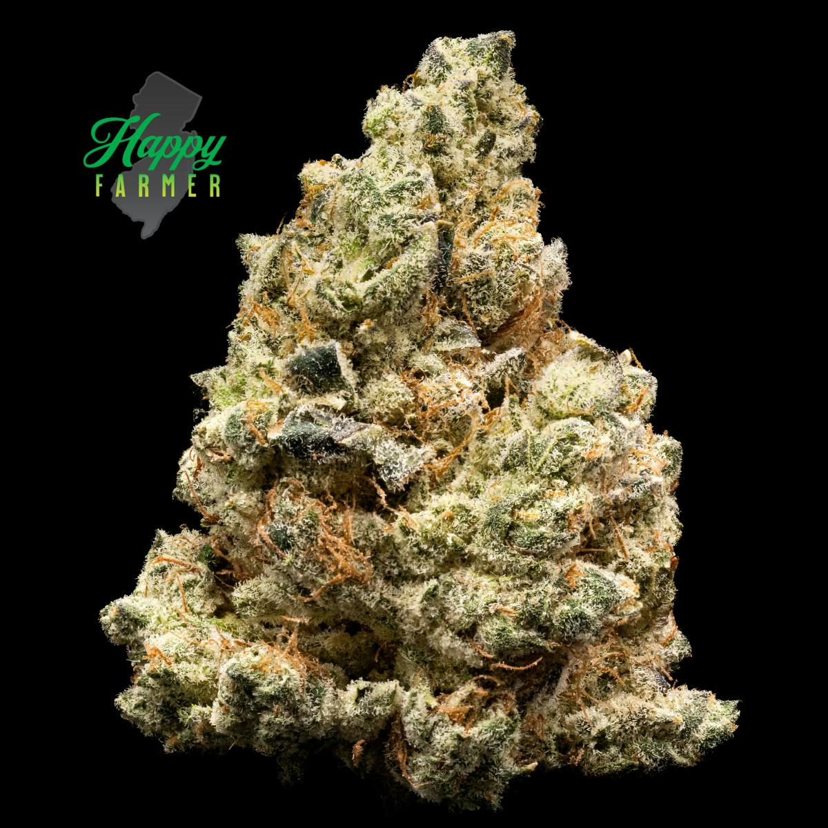 2024883014413667 63a31c5a F8b0 4bc7 B64d D4e35384dbdc