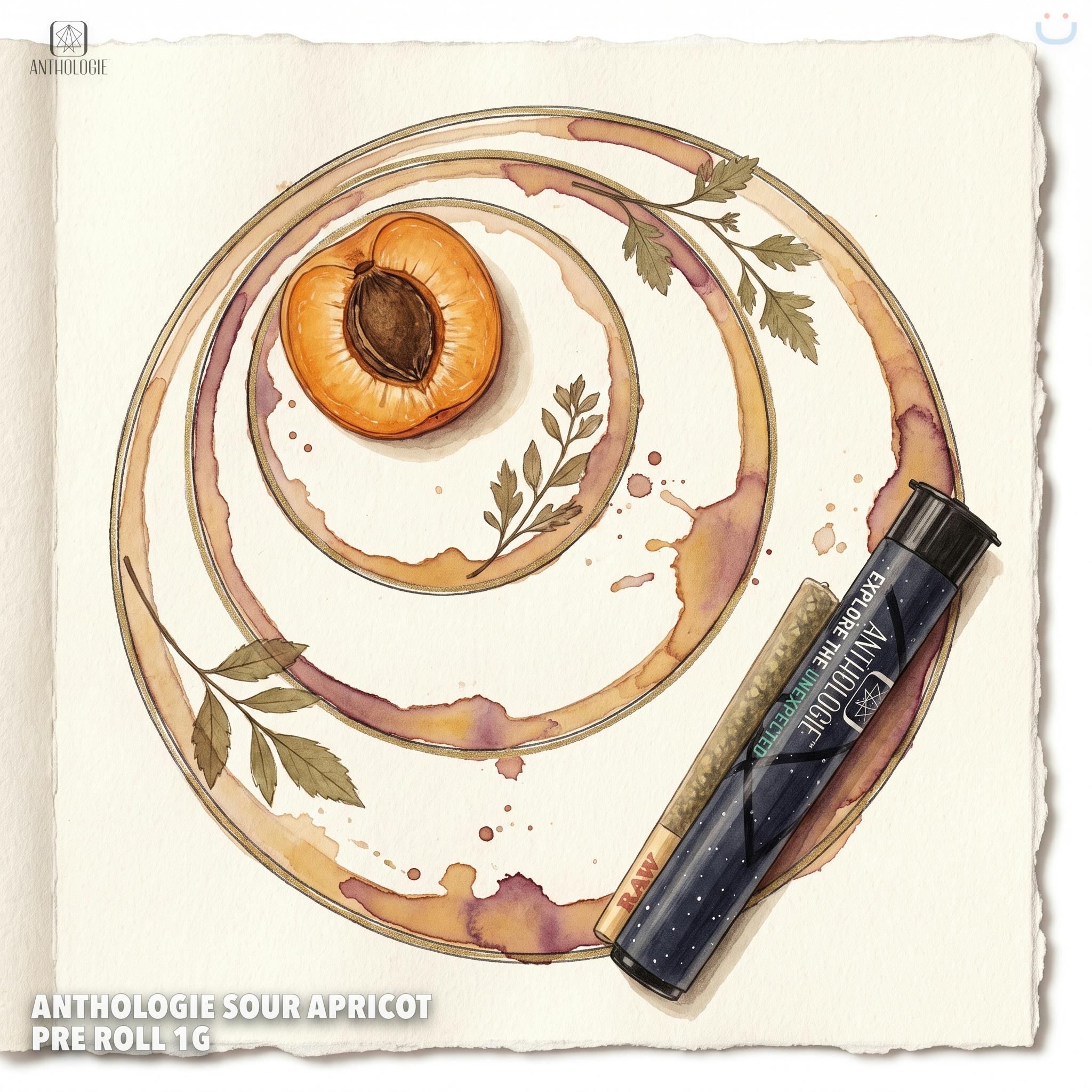 Anthologie Sour Apricot Pre Roll 1G
