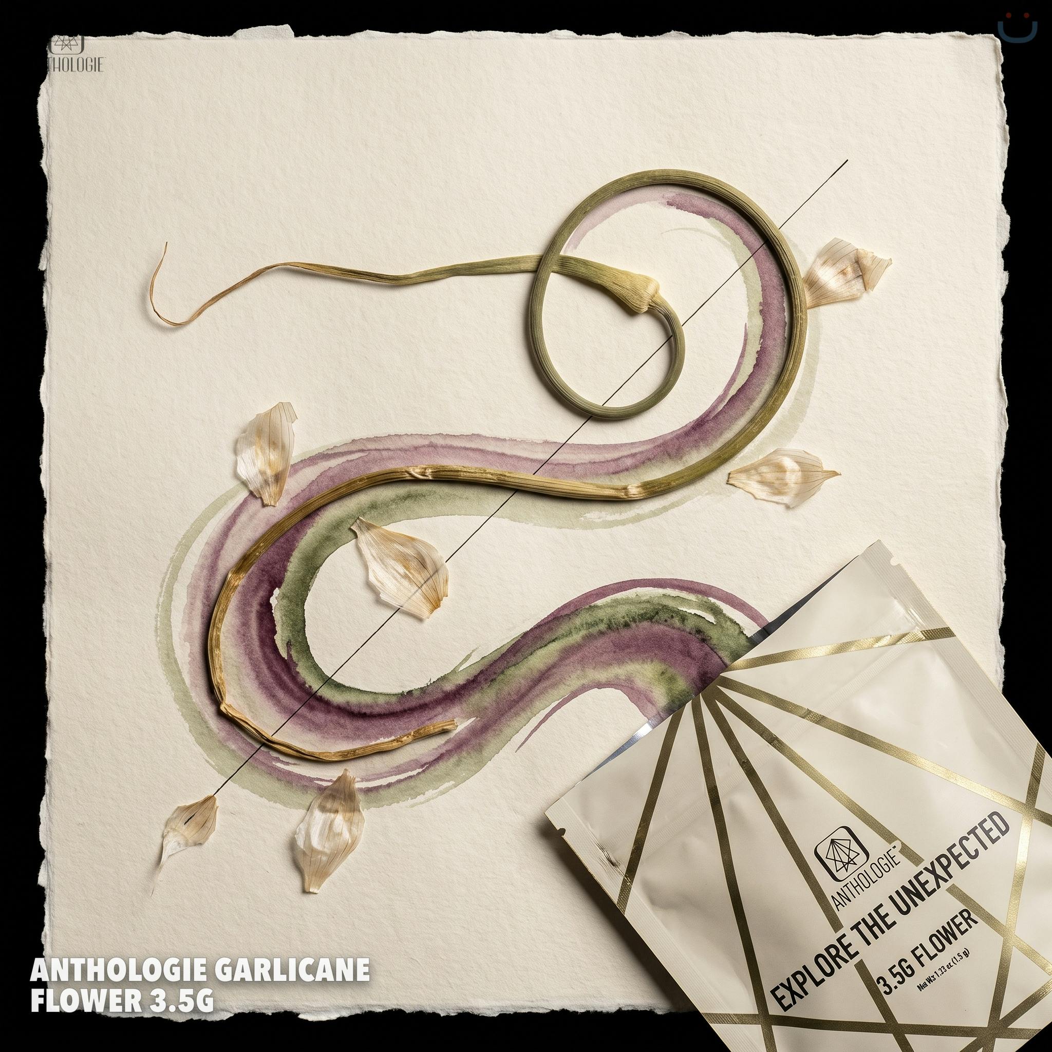 Anthologie Garlicane Flower 3.5G