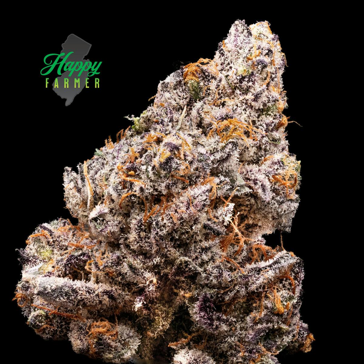 2024883014413667 7324b944 68e3 4c25 9952 99a96e7b1af8