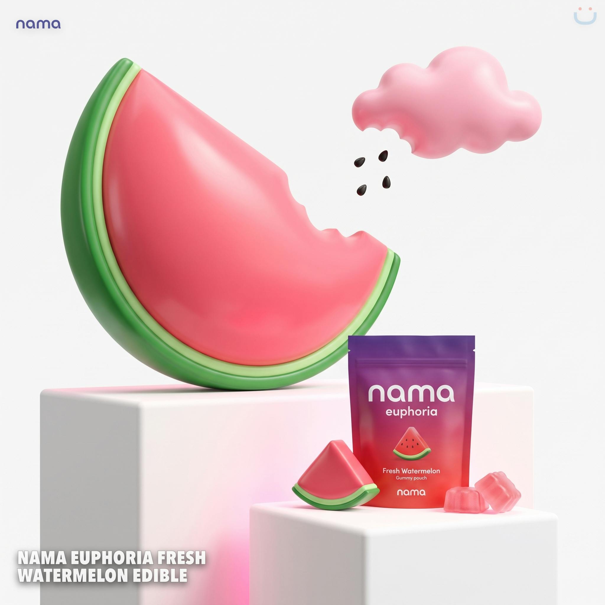 Nama Euphoria Fresh Watermelon Edible