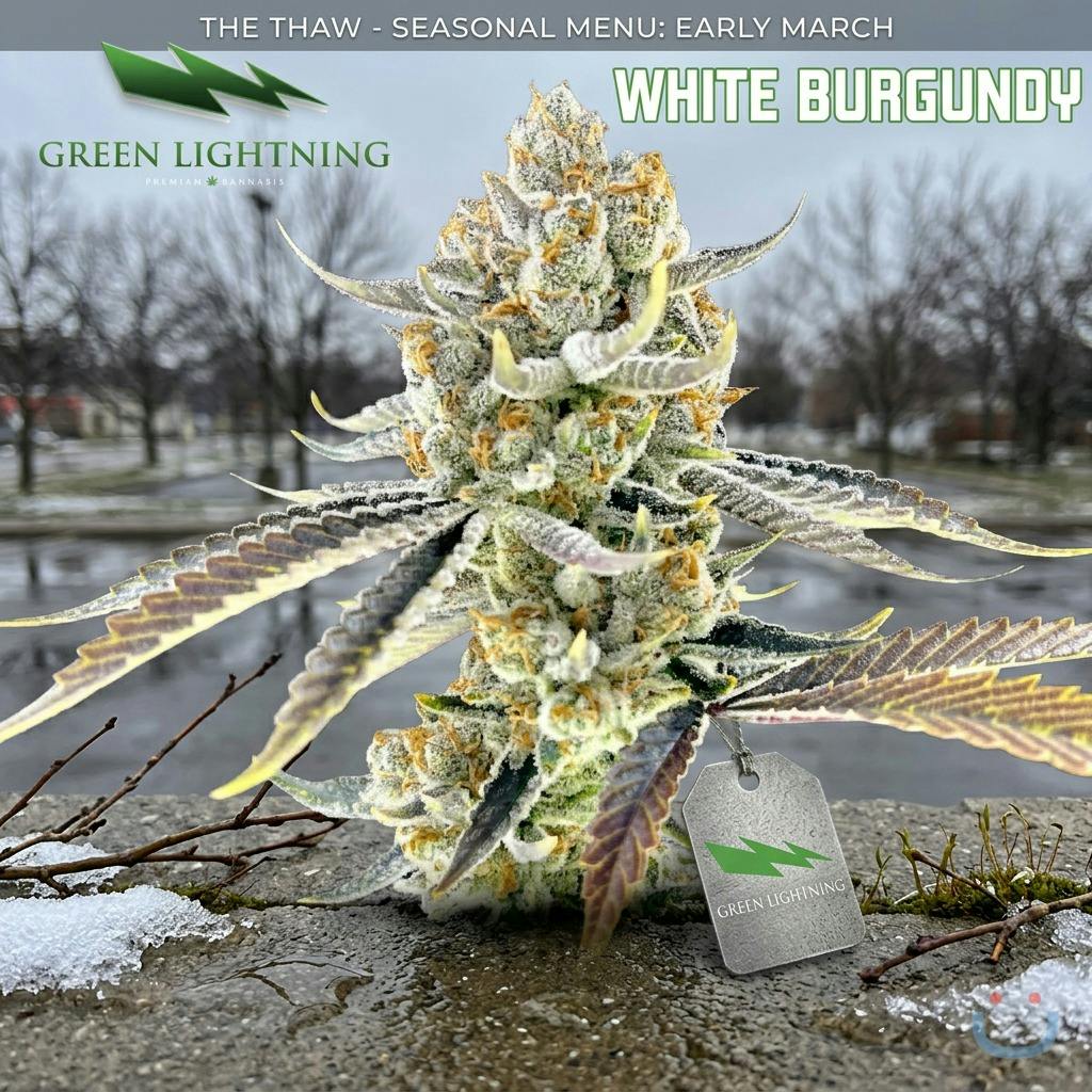 Green Lightning White Burgundy Flower 28G