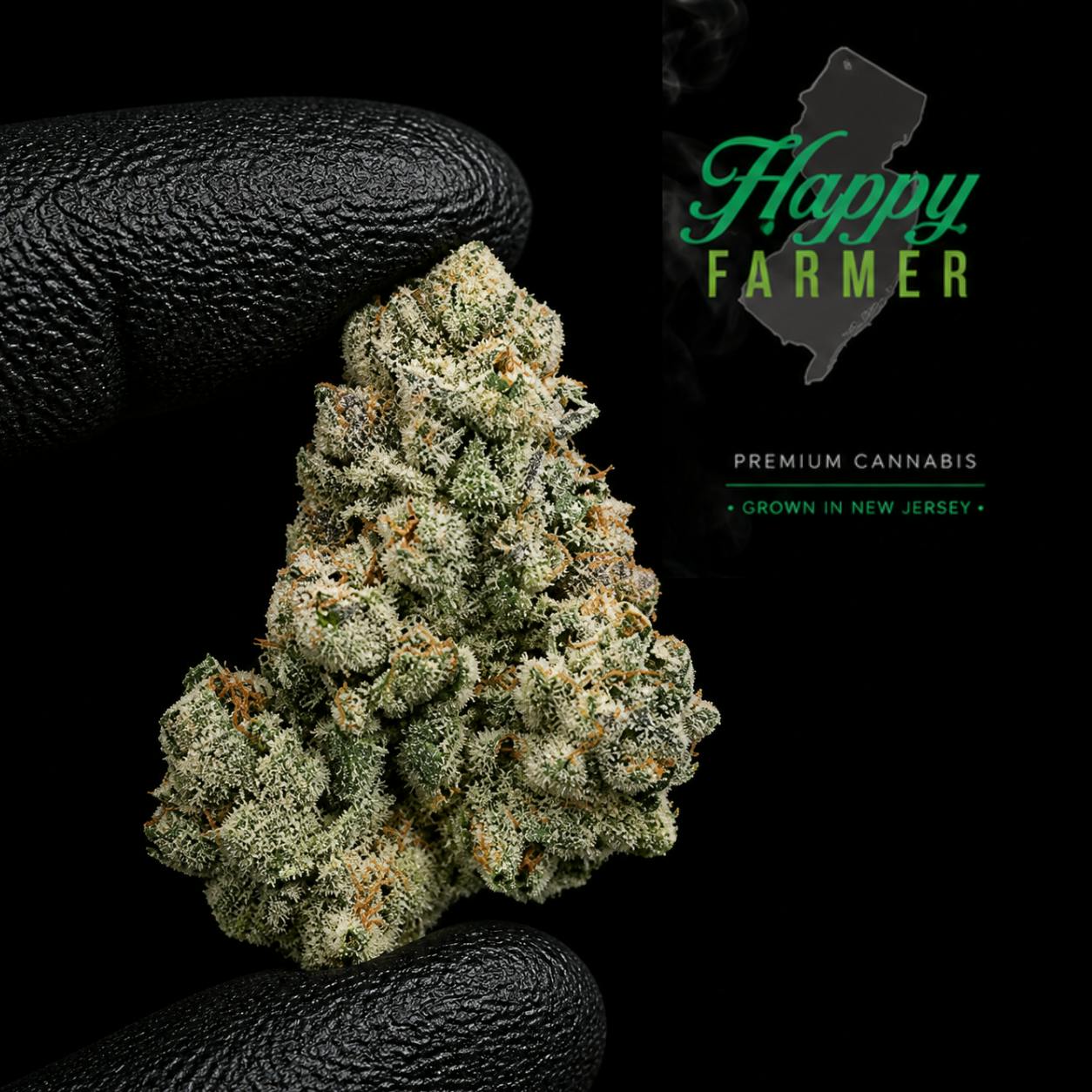Happy Farmer On Point Flower 3.5G