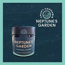 NEPTUNE'S GARDEN NIGHTMARE RUNTZ FLOWER 3.5G