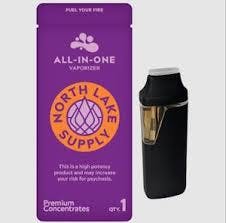 North Lake Supply Pina Colada All In One Vape 2G