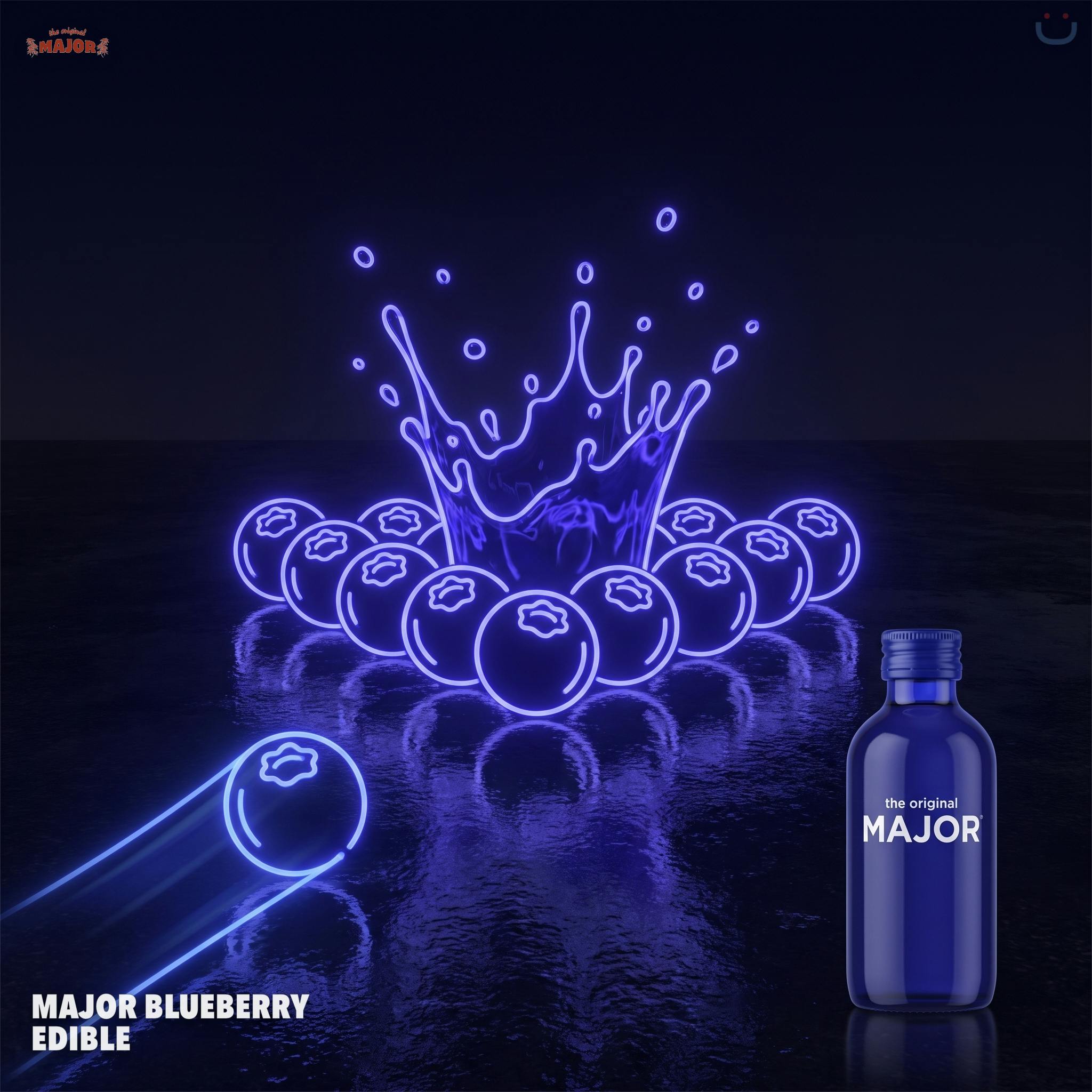 Major Blueberry Edible