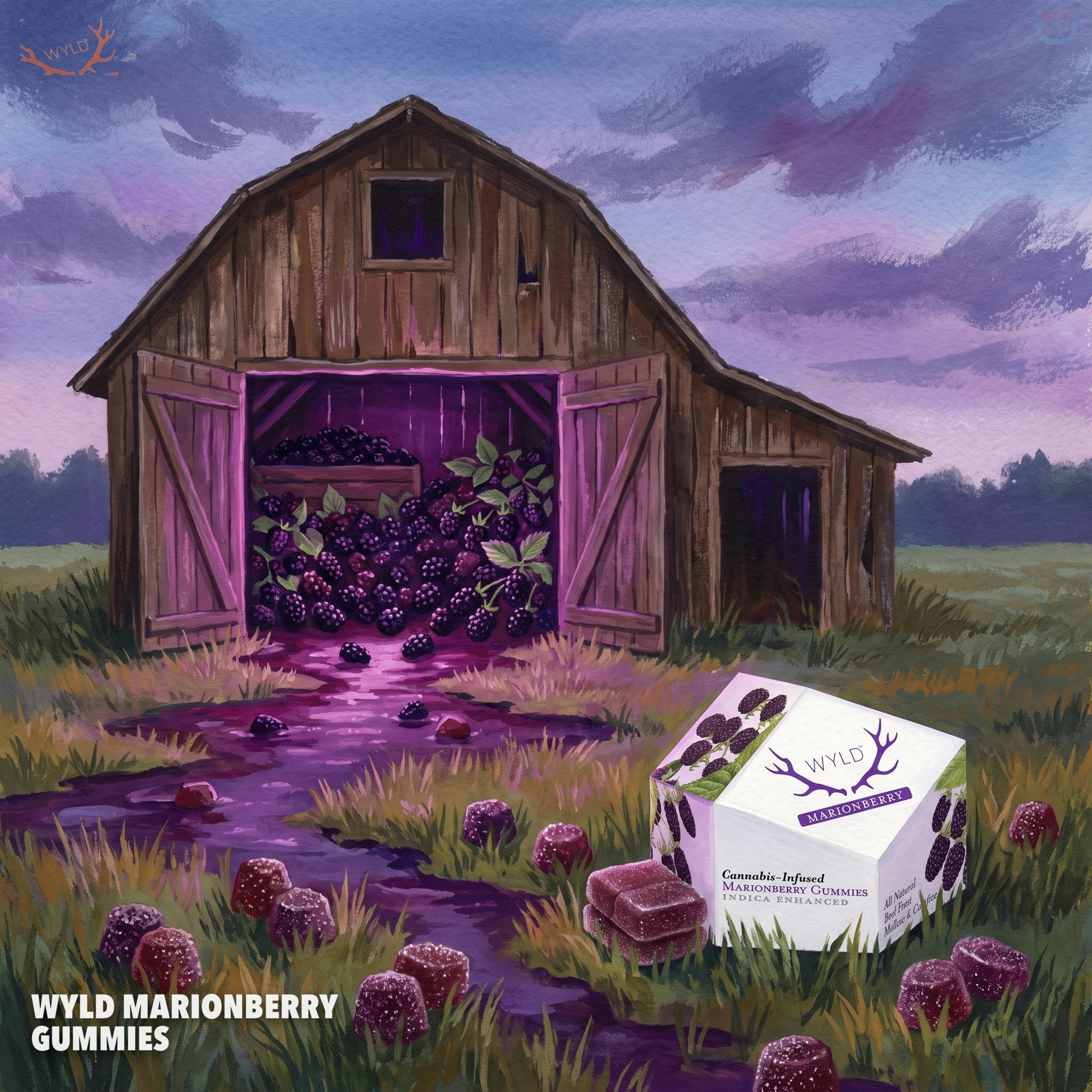 WYLD Marionberry Gummies