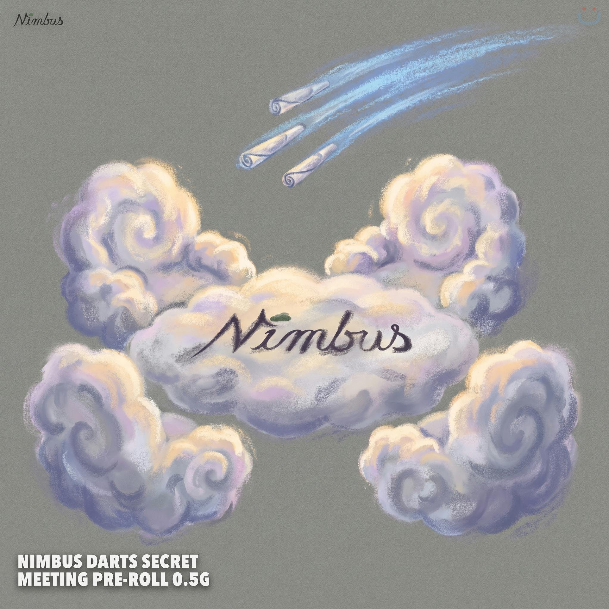Nimbus Darts Secret Meeting Pre-roll 0.5G