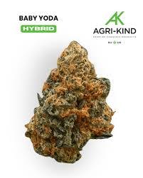 2024883014413667 A20578b9 E876 474e 9303 65ecb02c8977