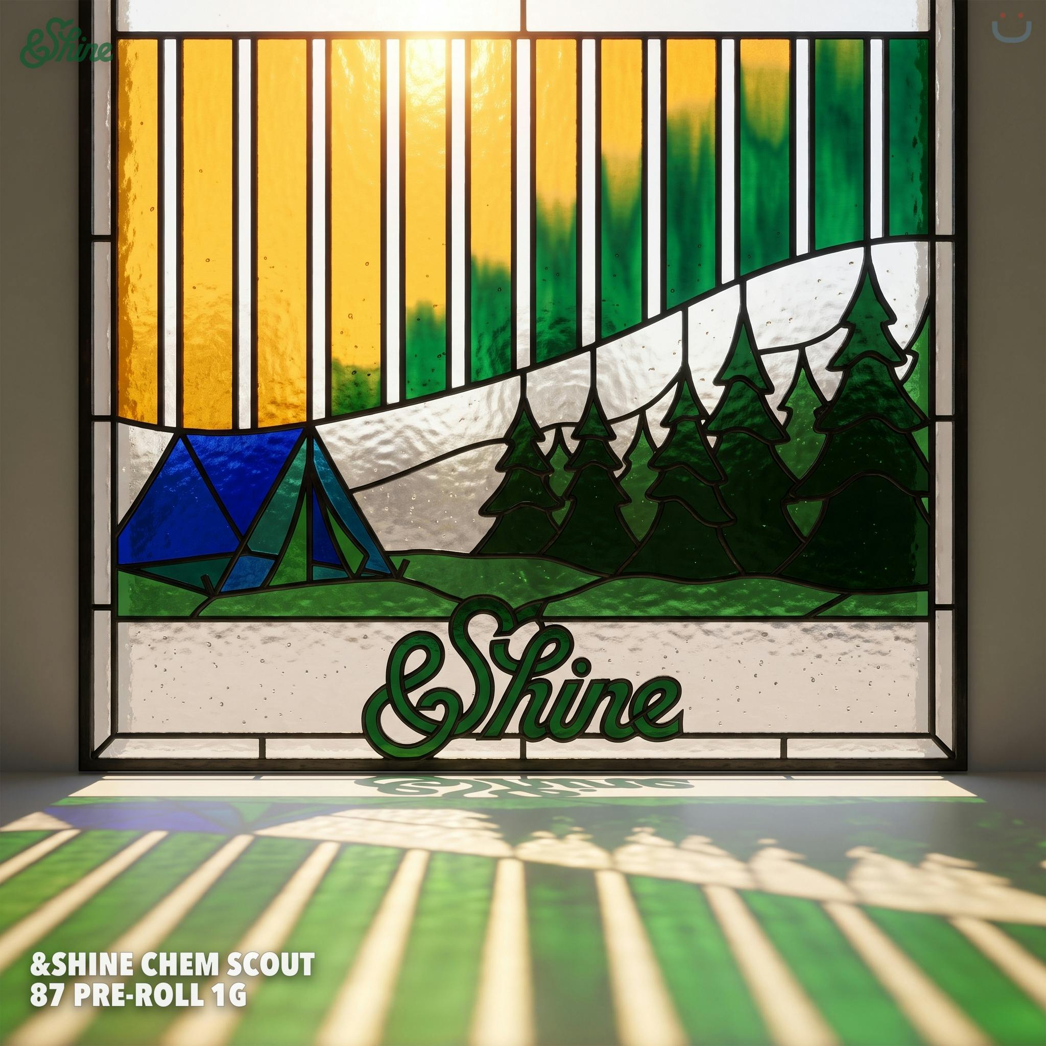 &Shine Chem Scout 87 Pre-roll 1G