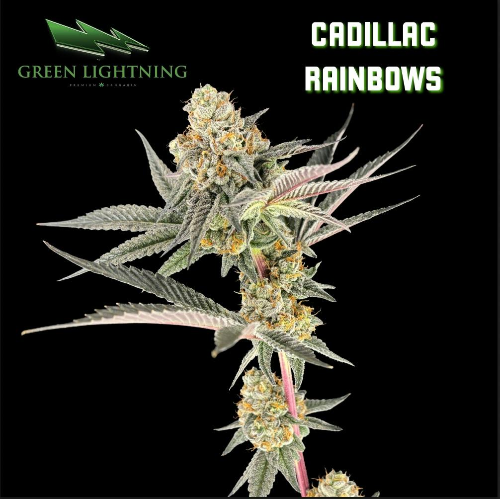 2024883014413667 A435e840 4ede 48bb 88a5 C42e1fa766eb