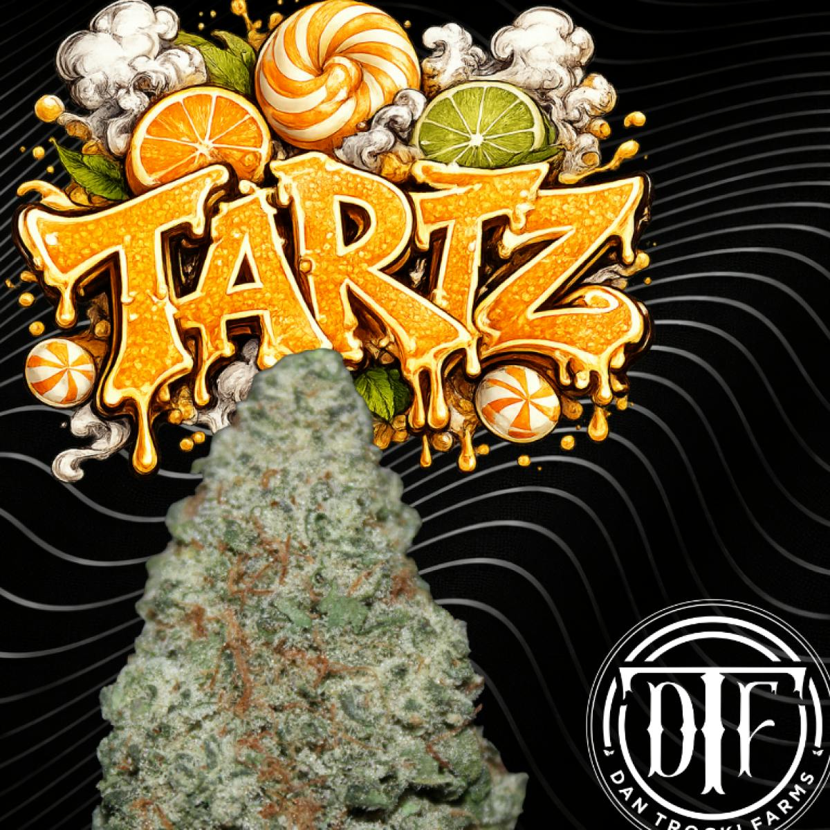 Dan Trocki Farms Tartz Flower 3.5G