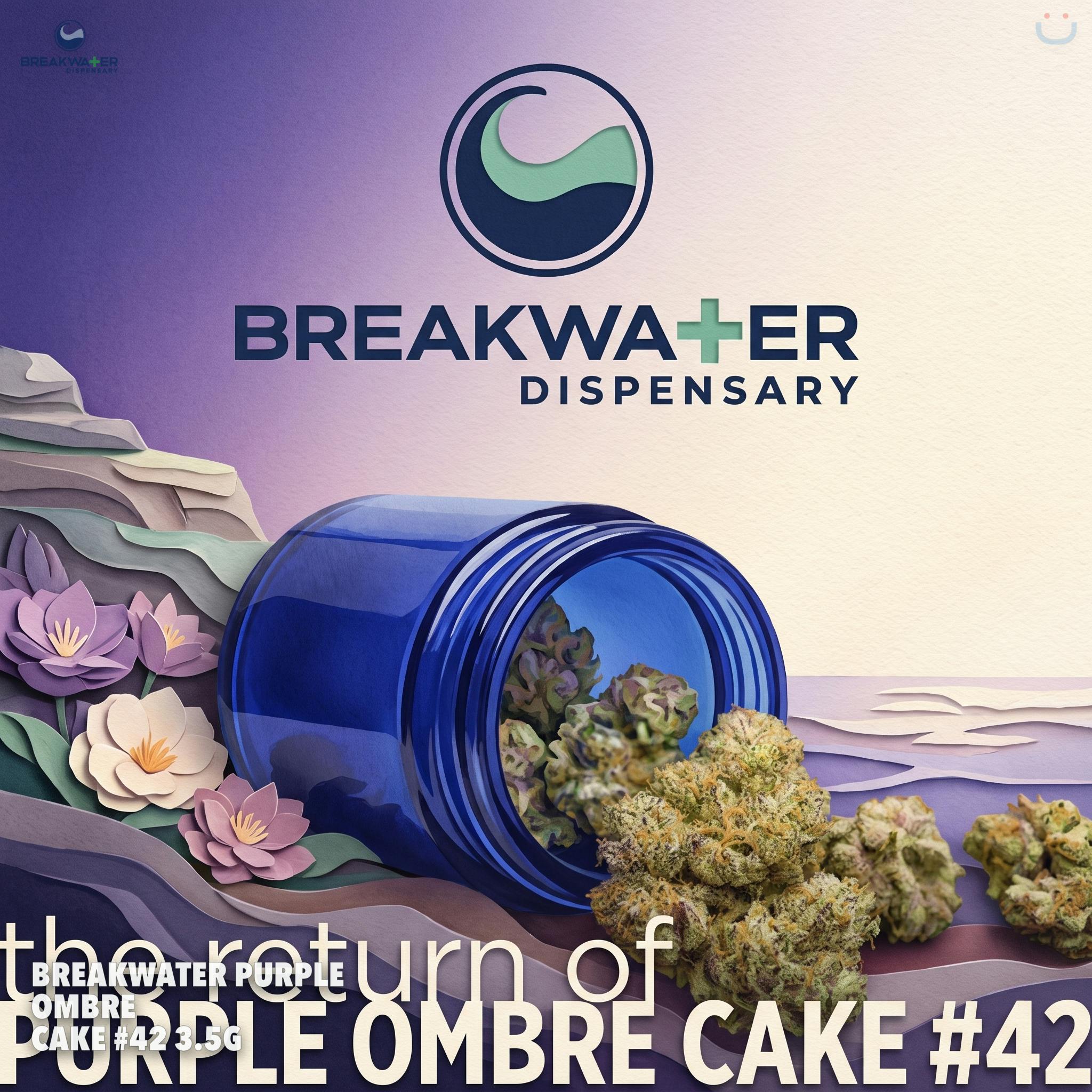 Breakwater Purple Ombre Cake #42 3.5g