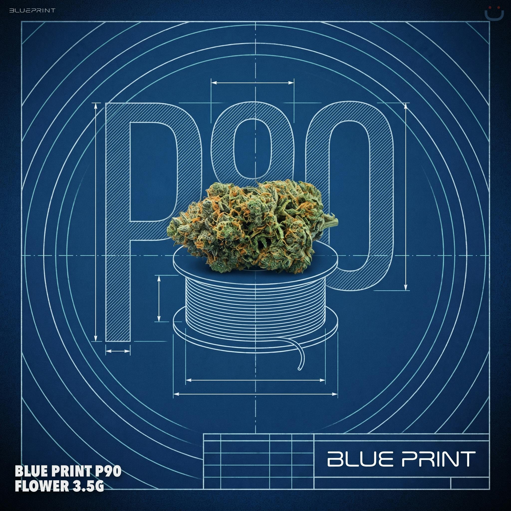 Blue Print P90 Flower 3.5G