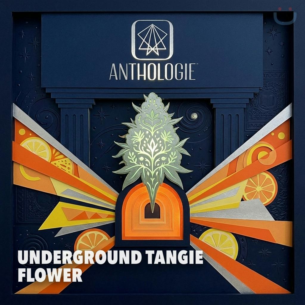 Anthologie Underground Tangie 3.5G - 1/8oz in Penns Grove