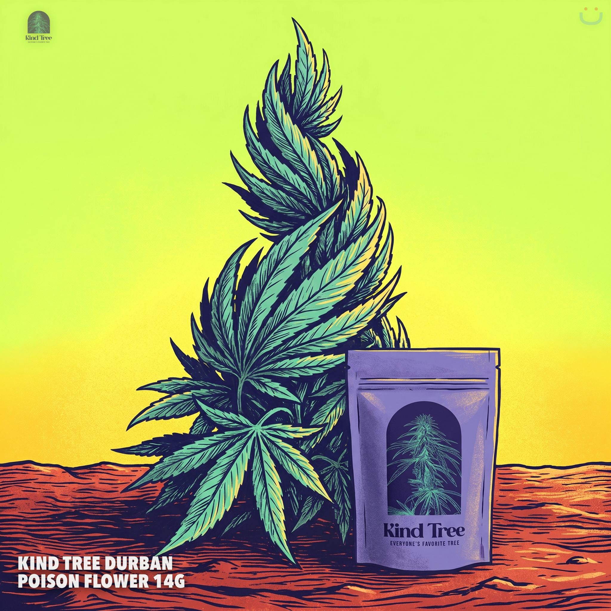 Kind Tree Durban Poison Flower 14G