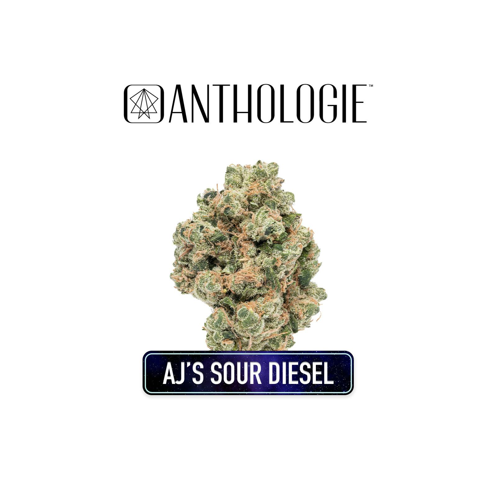 Anthologie Anthologie AJs Sour Diesel Flower Flower