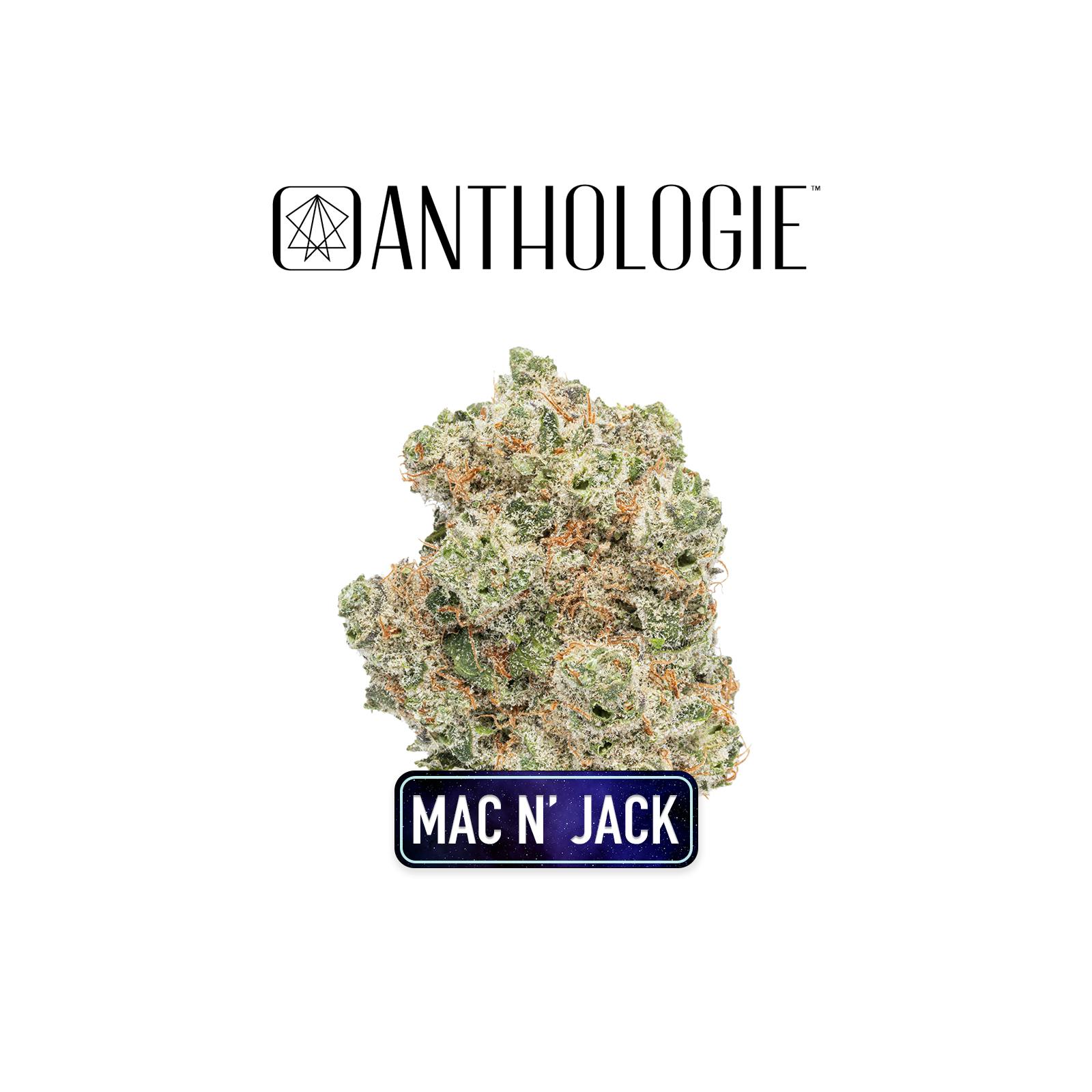 Anthologie Anthologie Littles Mac N Jack Flower Flower