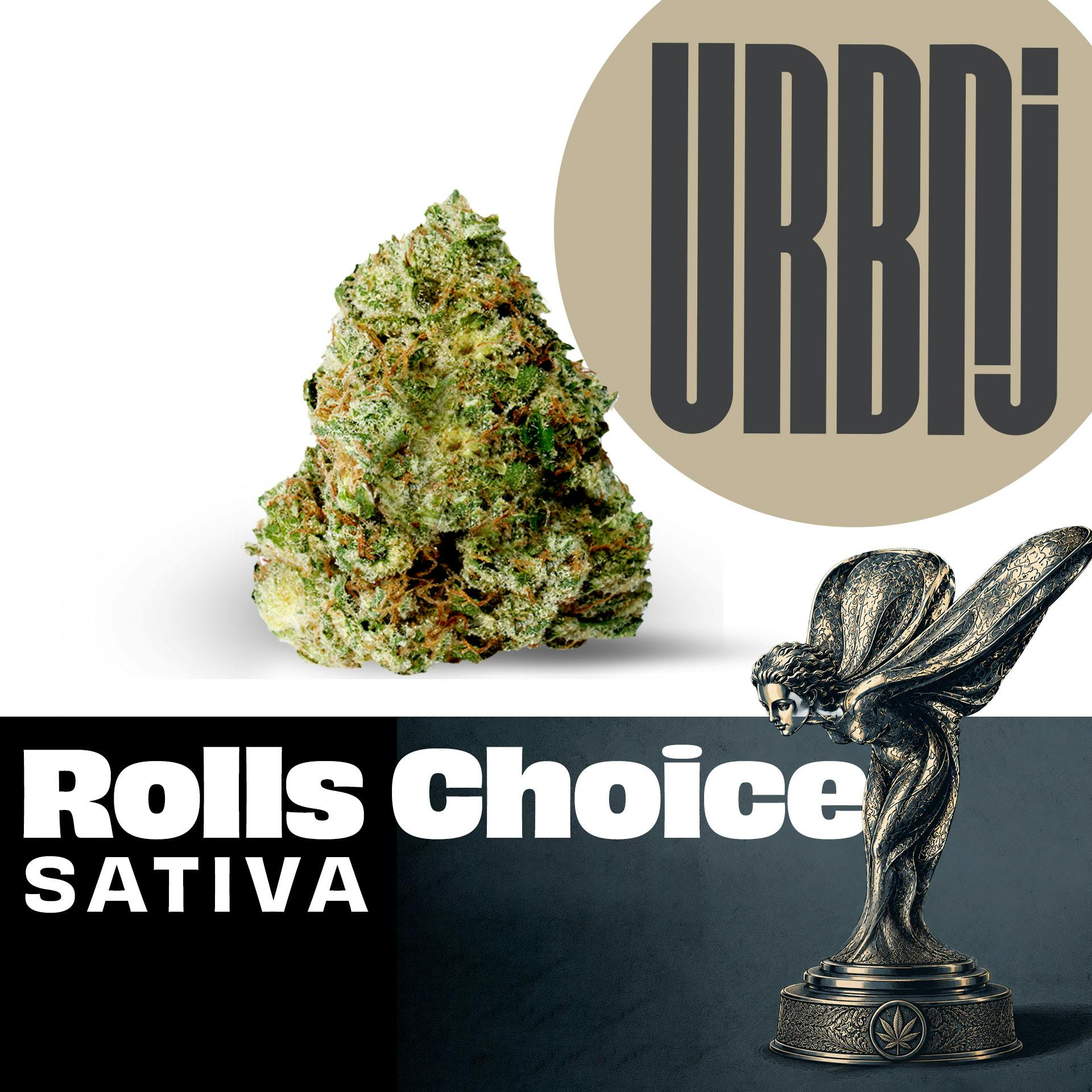 URBNJ Rolls Choice Flower 14G