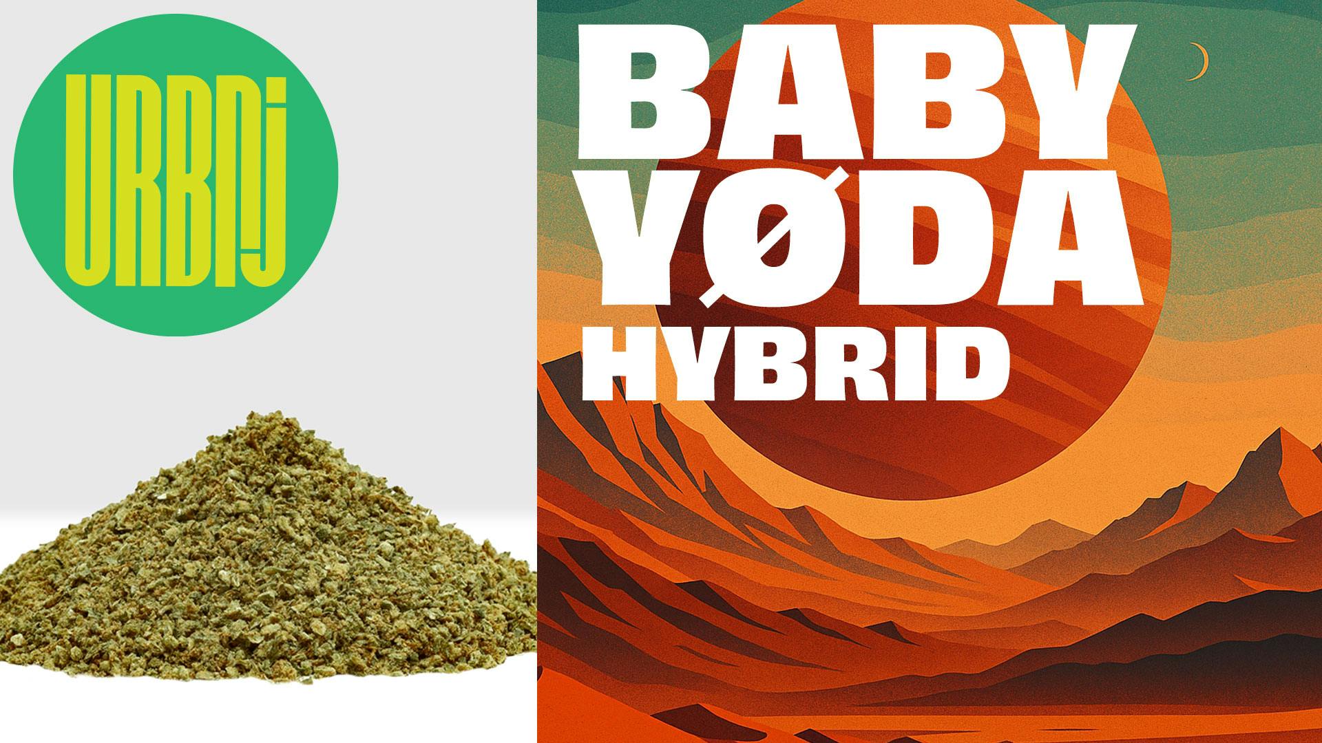 2024883014413667 C40abcbd 4b96 4ed5 9ca4 2270bfe5b052