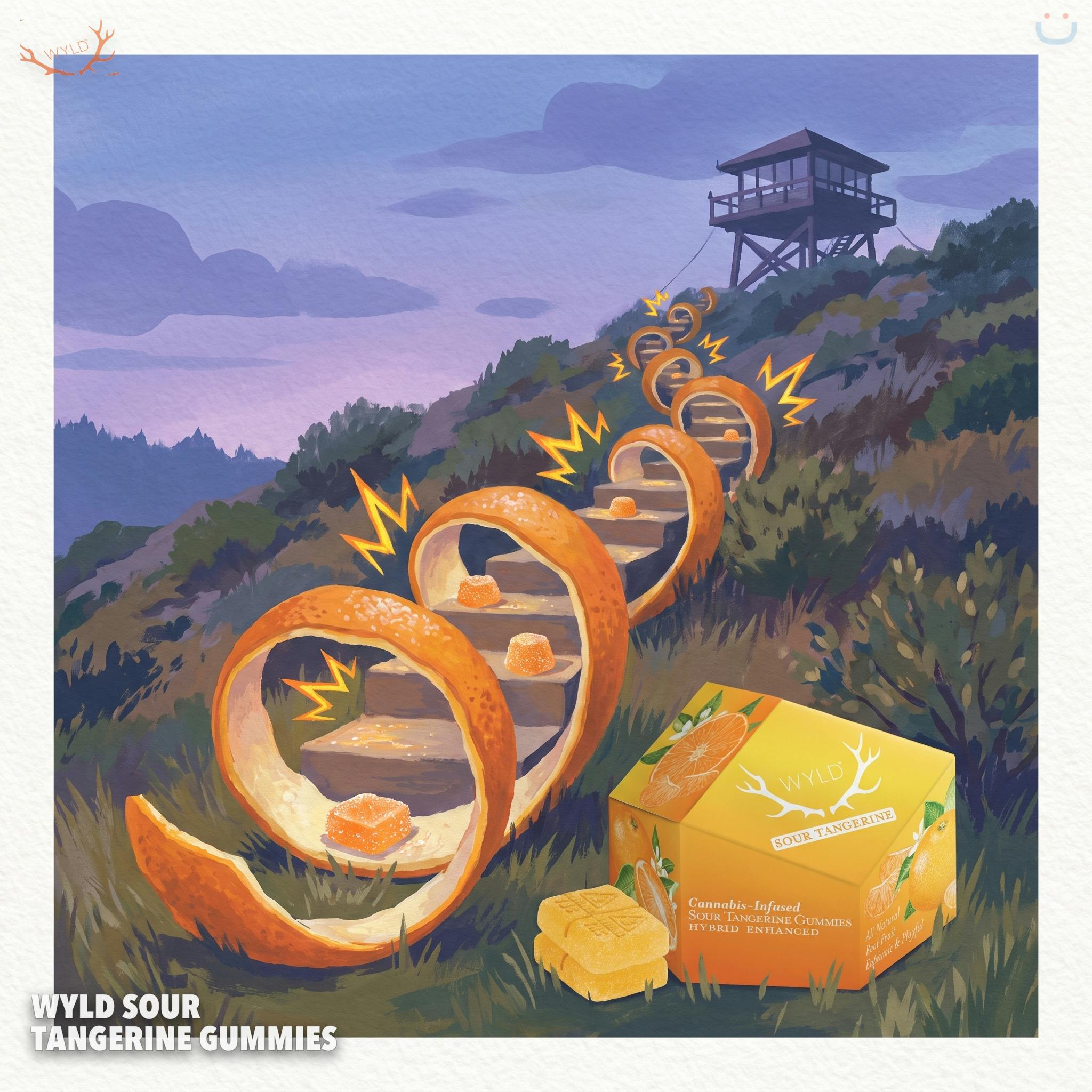 WYLD Sour Tangerine Gummies