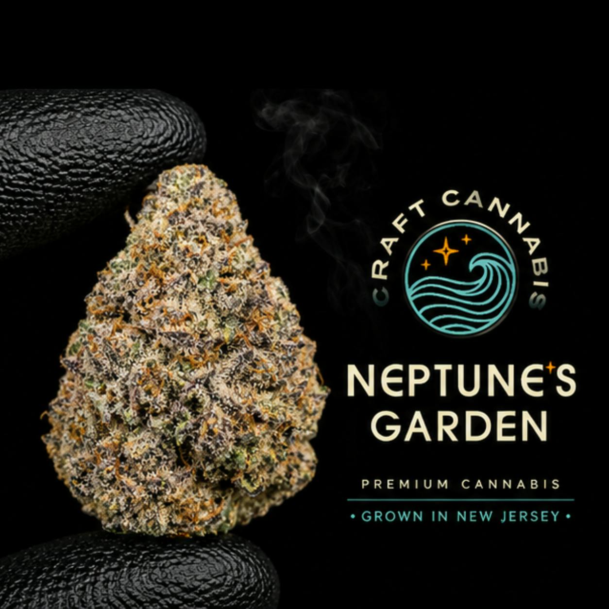 NEPTUNE'S GARDEN BLACK CHERRY PUNCH FLOWER 3.5G - 3.5 G