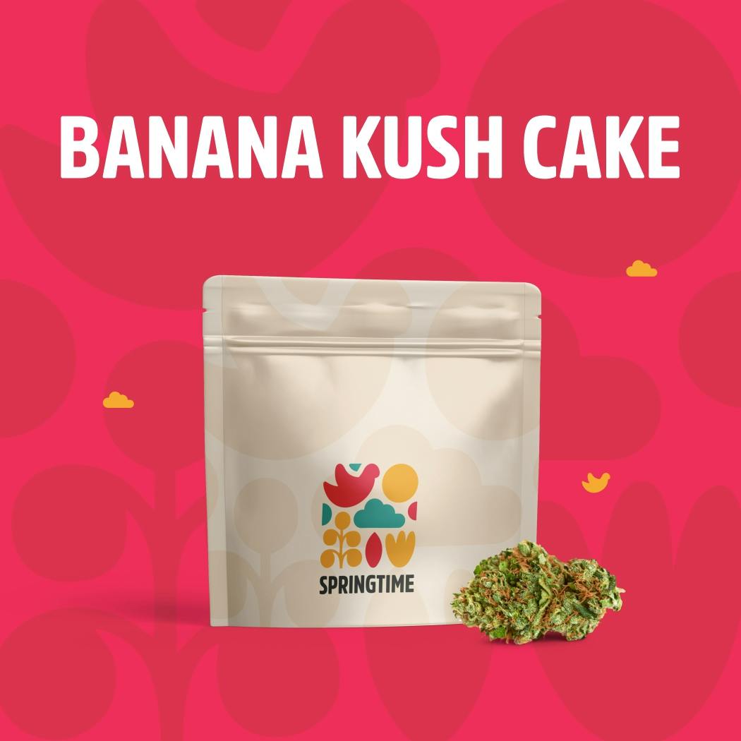 SPRINGTIME BANANA KUSH CAKE FLOWER - 3.5 G