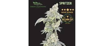 Green Lightning Spritzer Flower 7G
