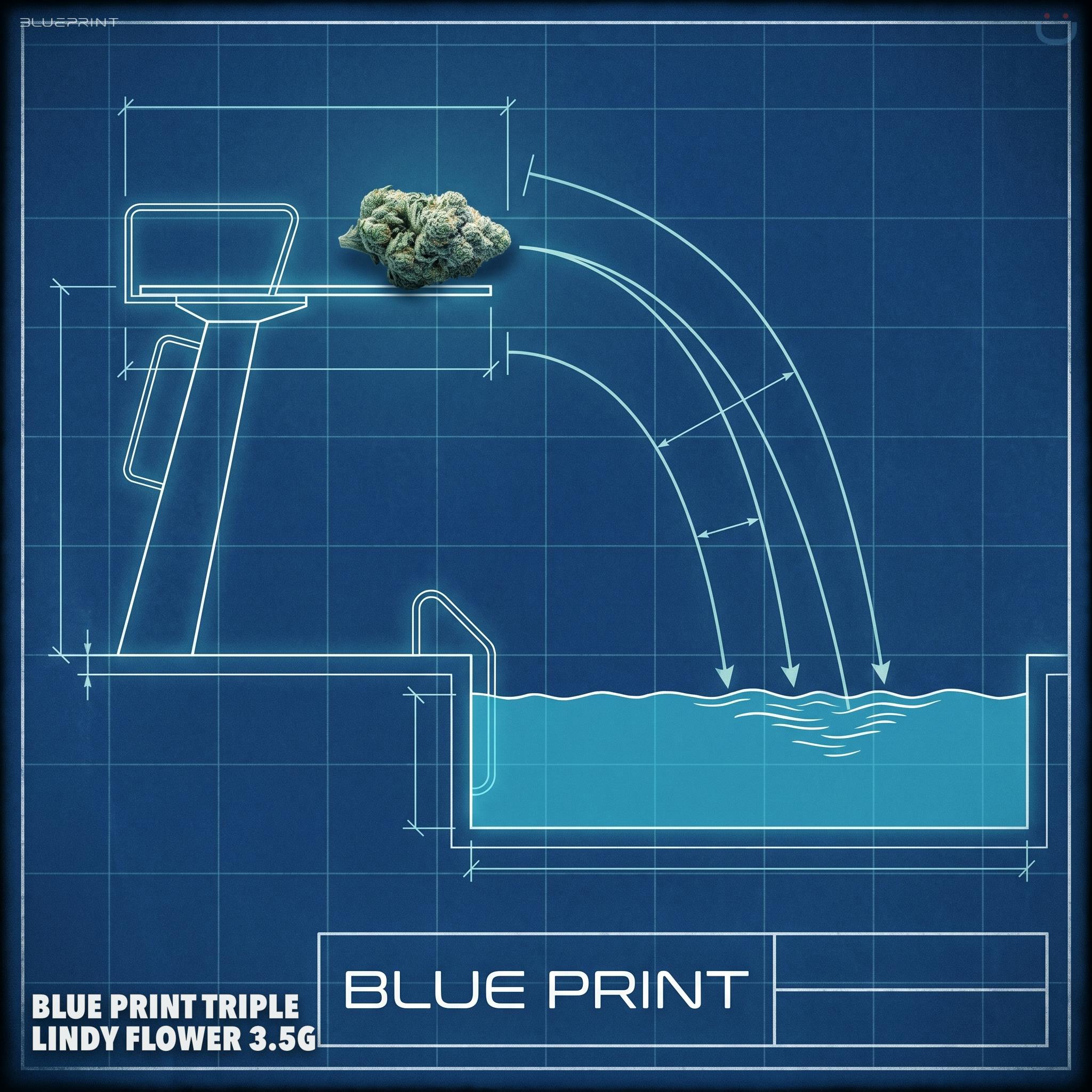 Blue Print Triple Lindy Flower 3.5G
