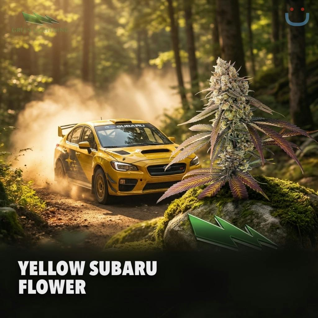 Green Lightning Yellow Subaru 3.5g