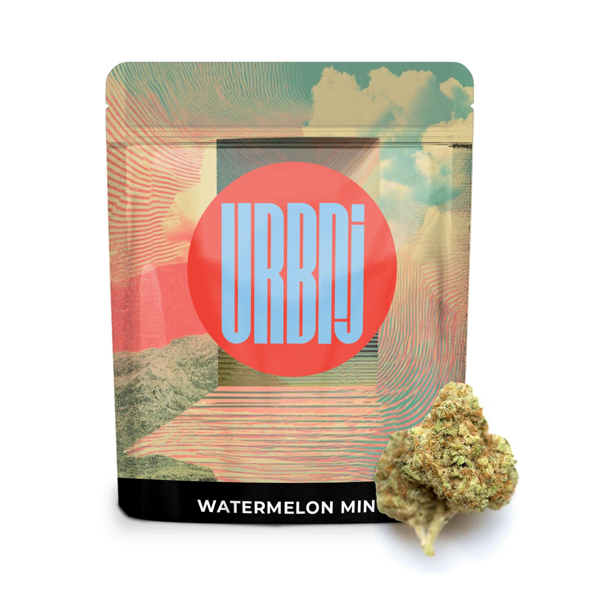 2024883014413667 Dfd71be7 7782 4545 9672 579606d45a0d