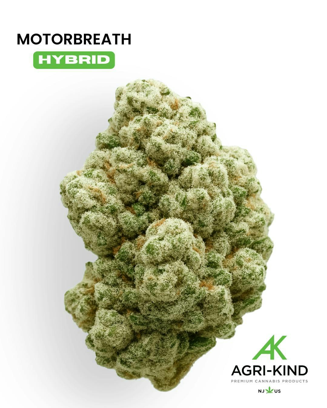 2024883014413667 Eb1f9893 38b0 4020 B5ca Cf1bf5781a47