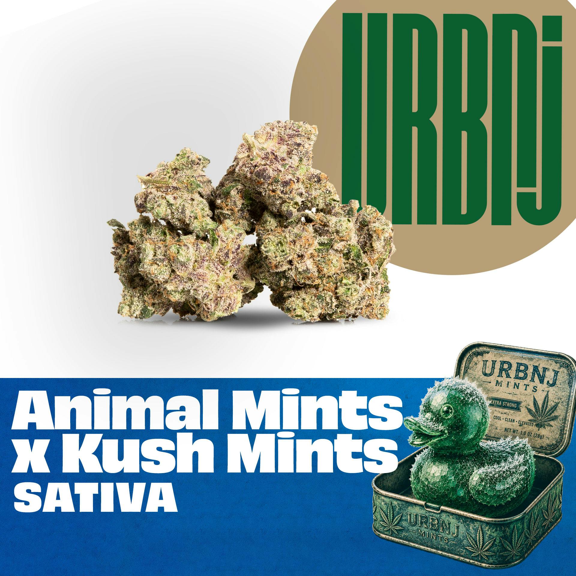 URBNJ ANIMAL MINTS X KUSH MINTS FLOWER - 14 G