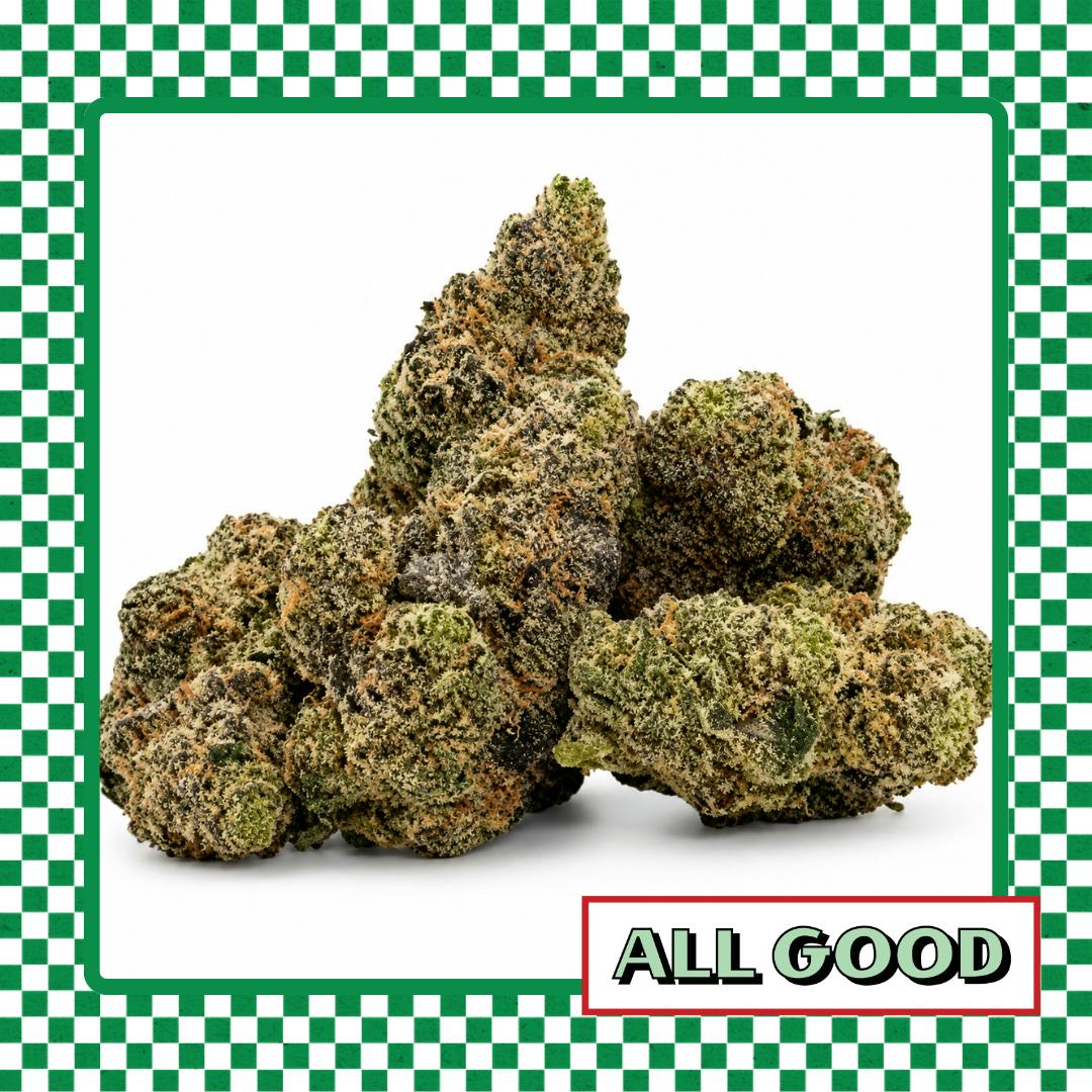 Major | M.O.B | Flower | Indica | 3.5g