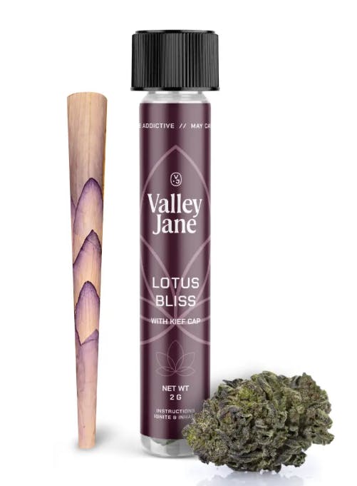 Boujee Ben | Fanta Sea | Lotus Pedal Preroll | Sativa | 2g