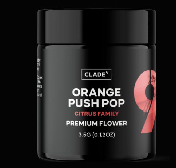ORANGE PUSH POP | FLOWER - 7 G