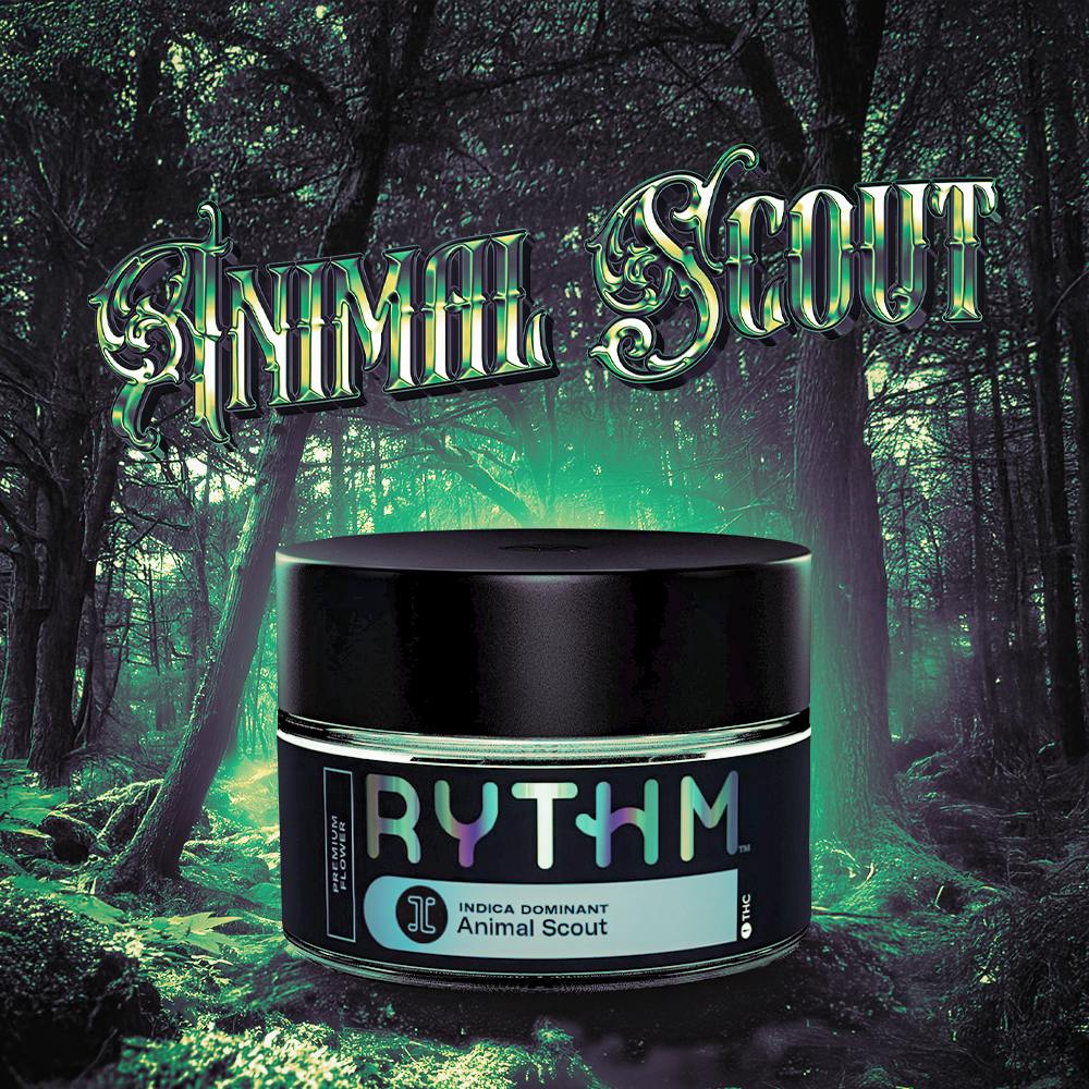 FLOWER | ANIMAL SCOUT |