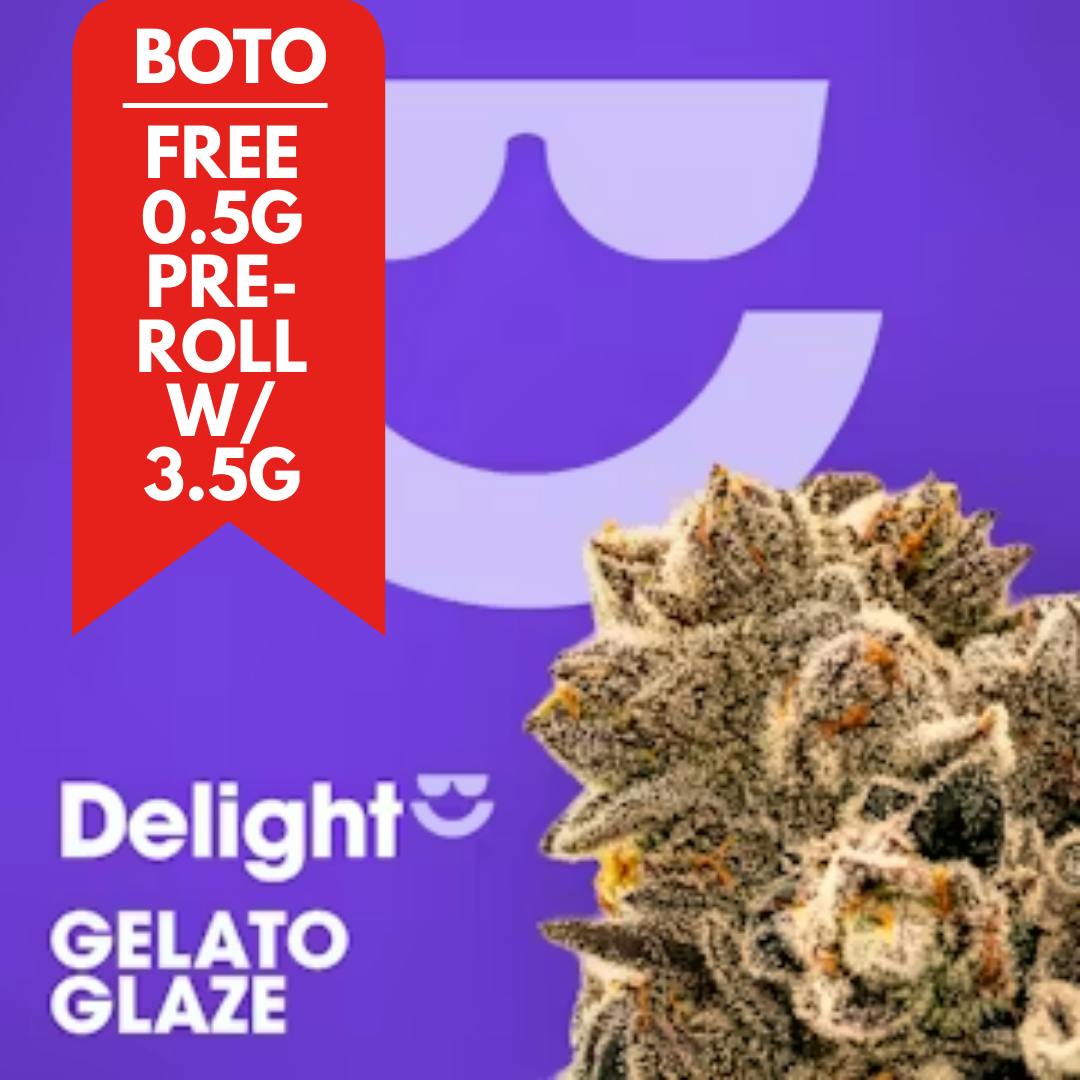 GELATO GLAZE |  FLOWER | HYBRID