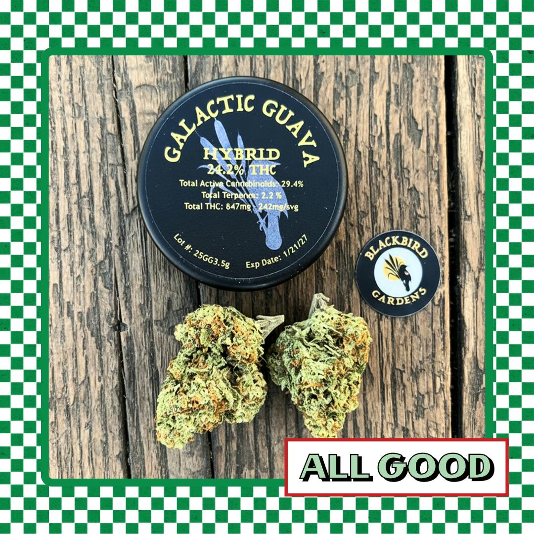 Blackbird Gardens | Galactic Guava | Flower | Hybrid | 3.5g