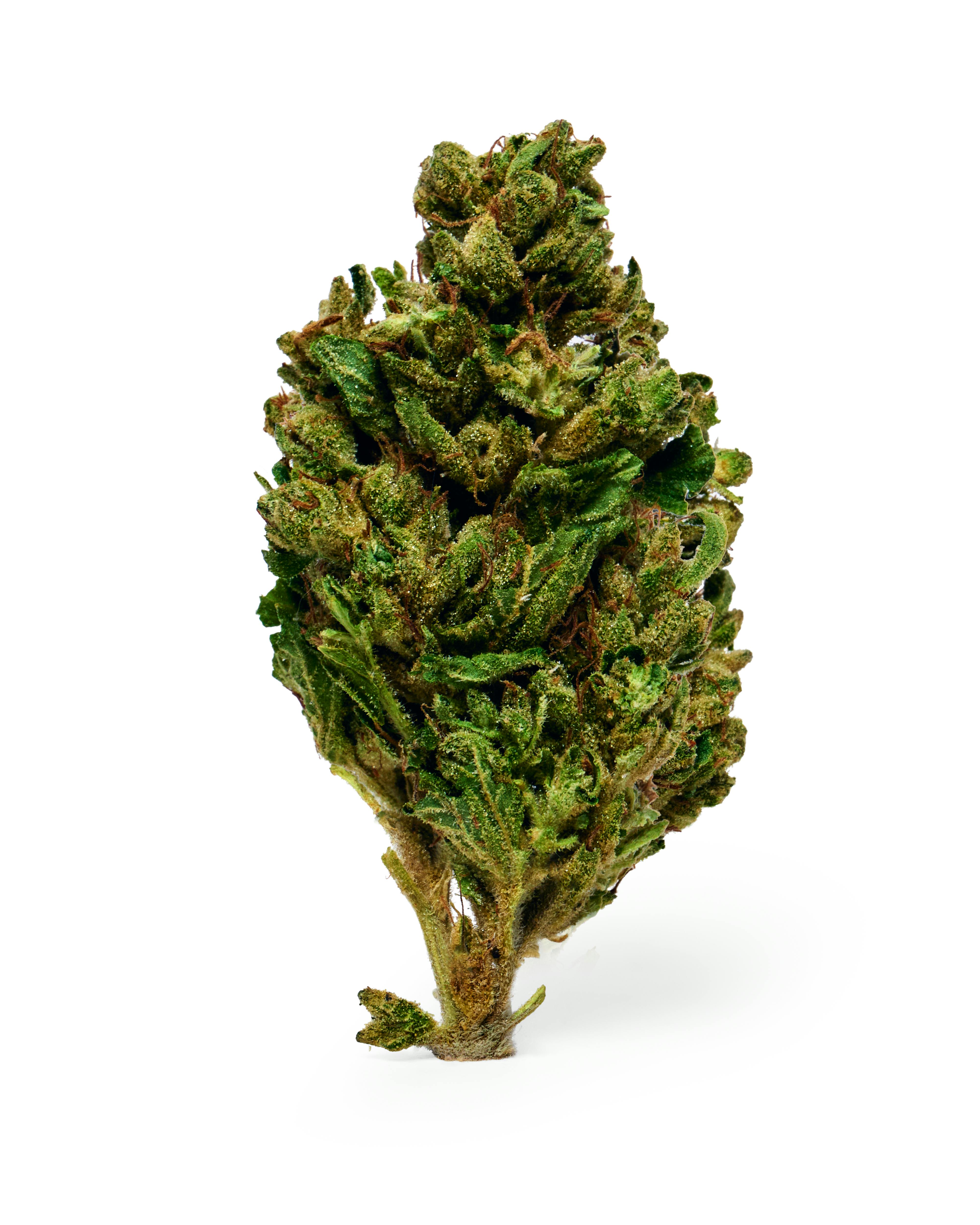 Dada Daily | Sour Diesel | Flower | Sativa | 7g